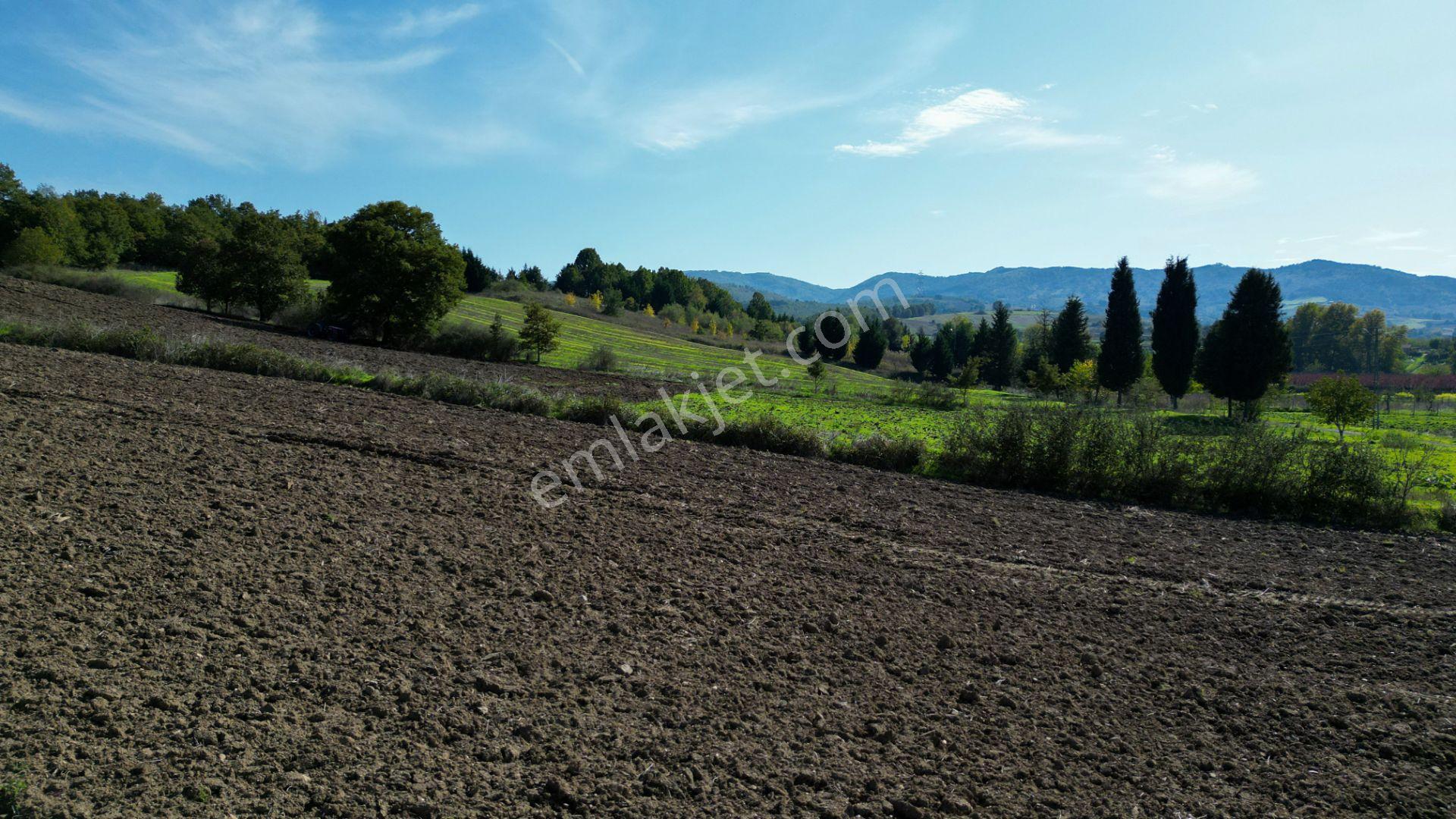 Uzmanlar'dan Çamdibi Meşelik Satılık 3351 M2 Tarla — fotoğraf 12