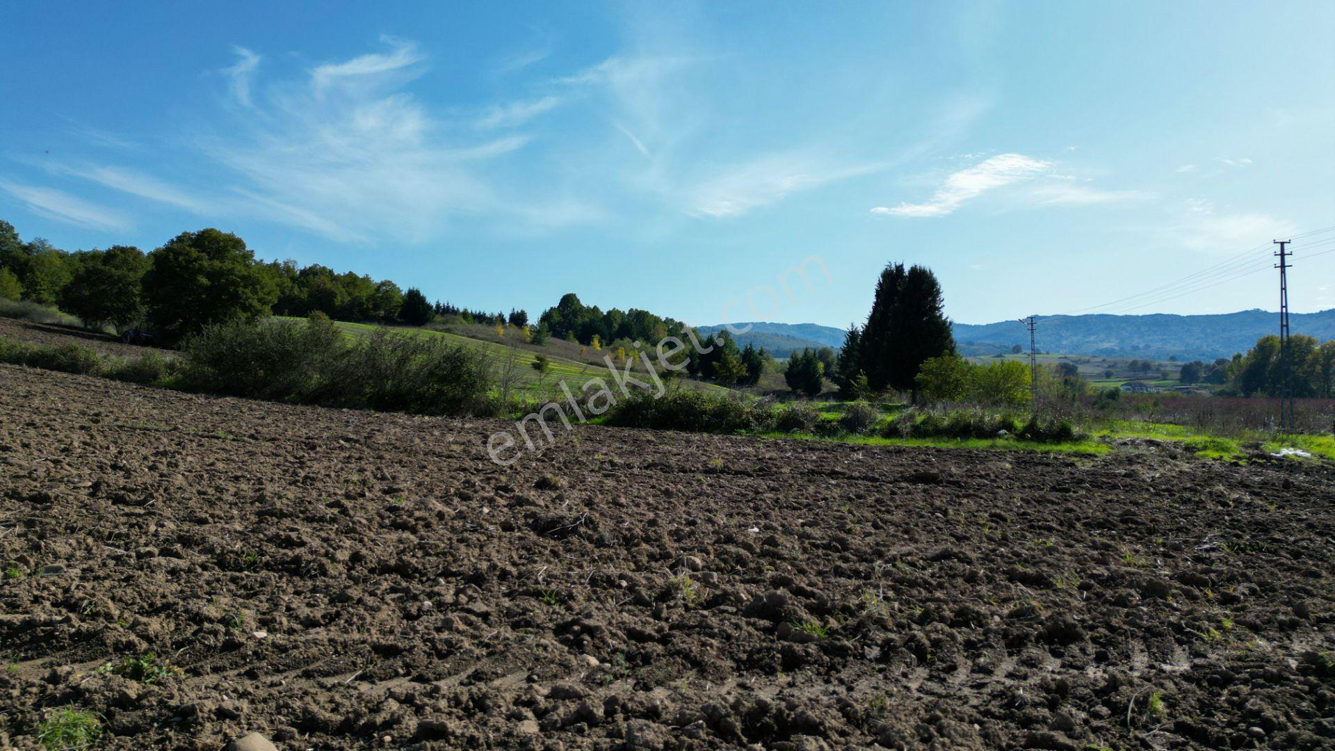 Uzmanlar'dan Çamdibi Meşelik Satılık 3351 M2 Tarla — fotoğraf 13