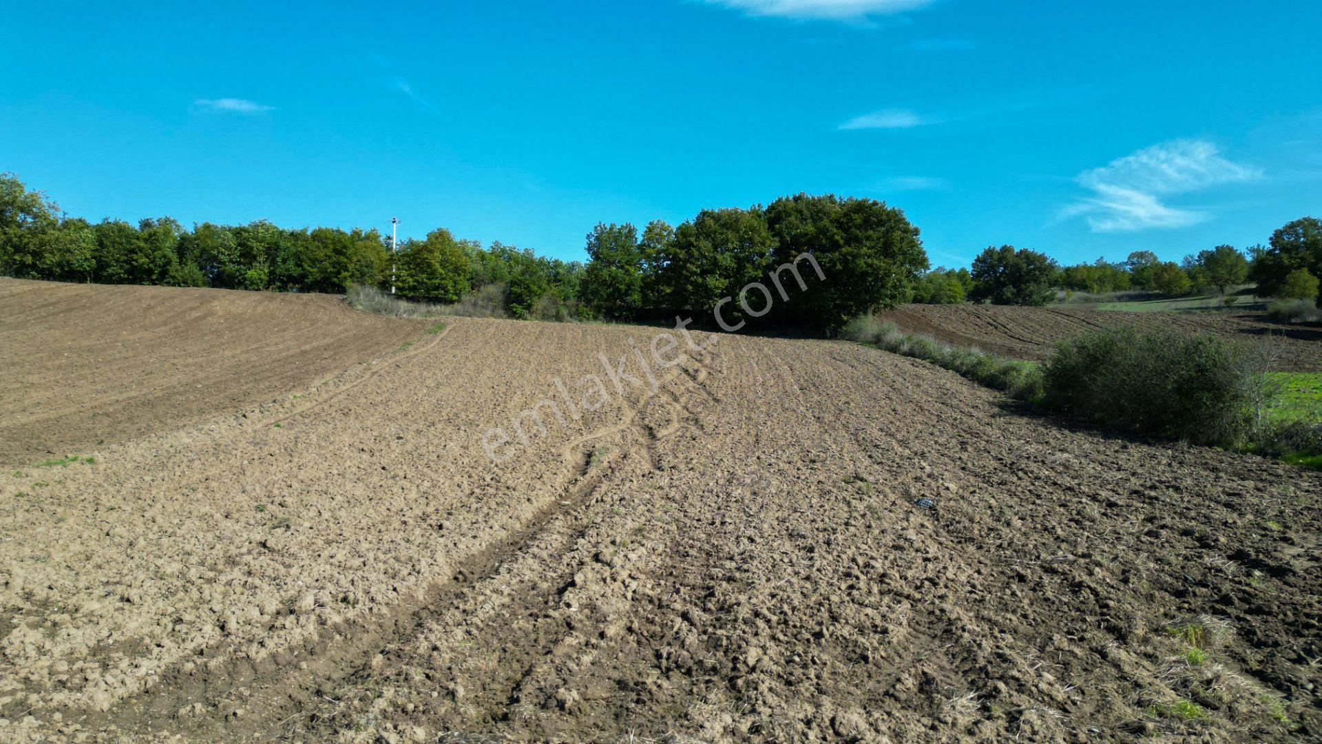 Uzmanlar'dan Çamdibi Meşelik Satılık 3351 M2 Tarla — fotoğraf 14