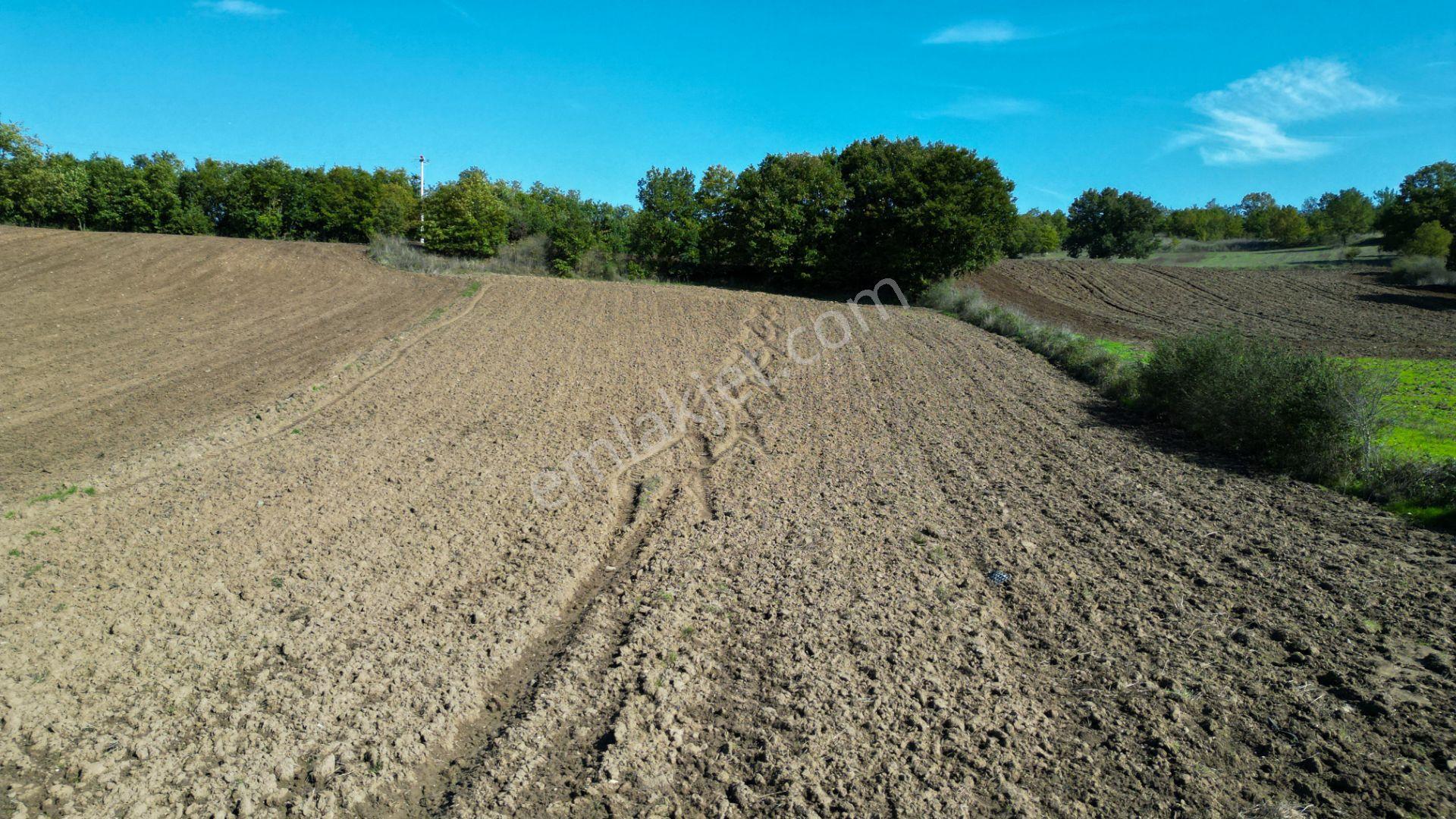 Uzmanlar'dan Çamdibi Meşelik Satılık 3351 M2 Tarla — fotoğraf 15