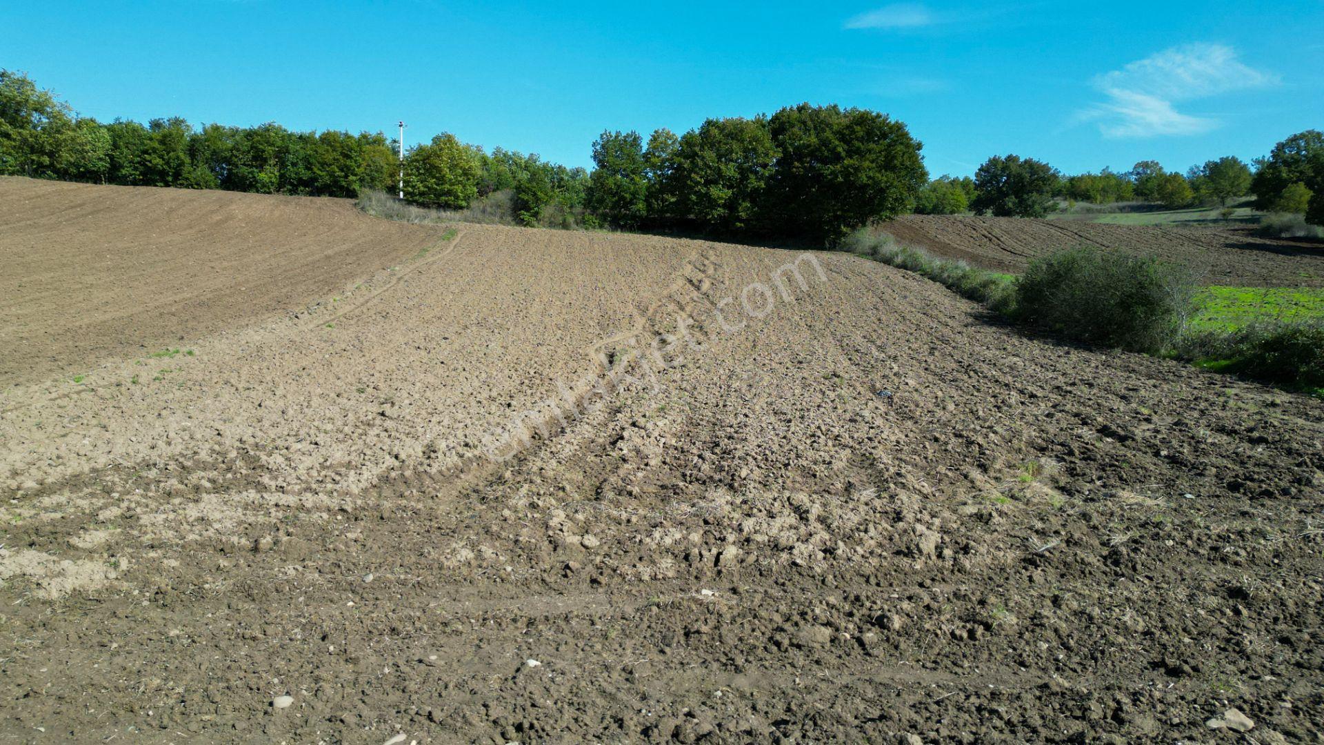 Uzmanlar'dan Çamdibi Meşelik Satılık 3351 M2 Tarla — fotoğraf 16