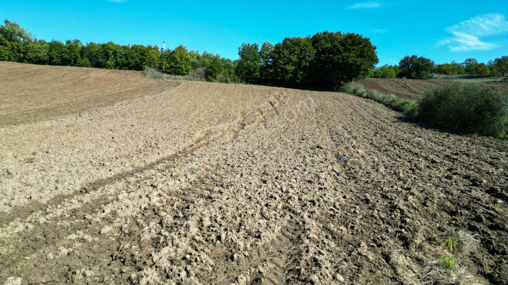 Uzmanlar'dan Çamdibi Meşelik Satılık 3351 M2 Tarla — fotoğraf 17