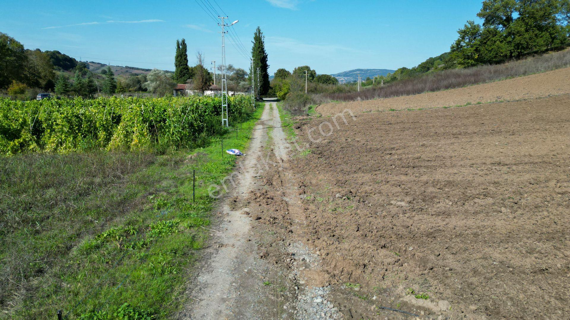 Uzmanlar'dan Çamdibi Meşelik Satılık 3351 M2 Tarla — fotoğraf 19