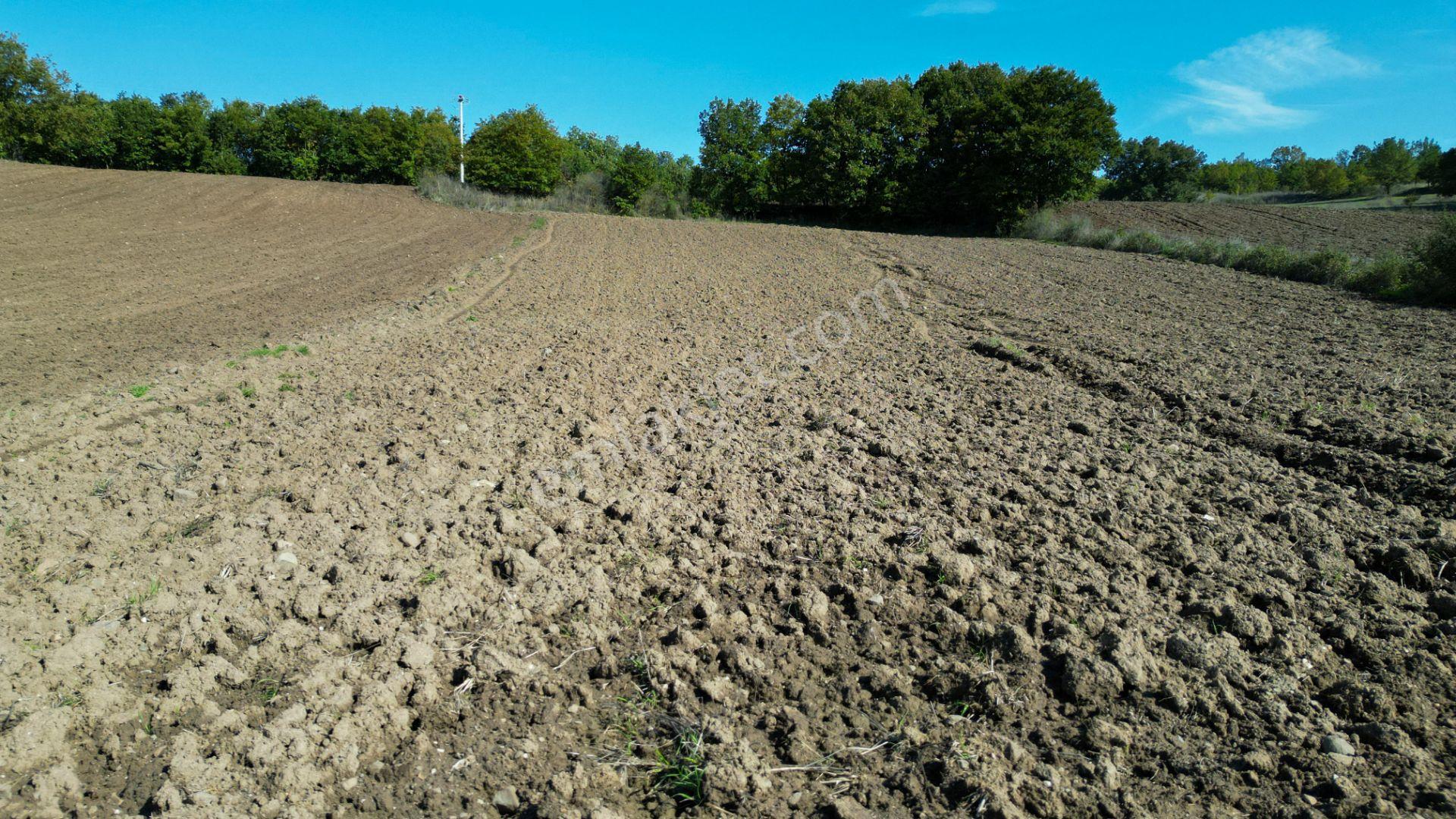 Uzmanlar'dan Çamdibi Meşelik Satılık 3351 M2 Tarla — fotoğraf 20