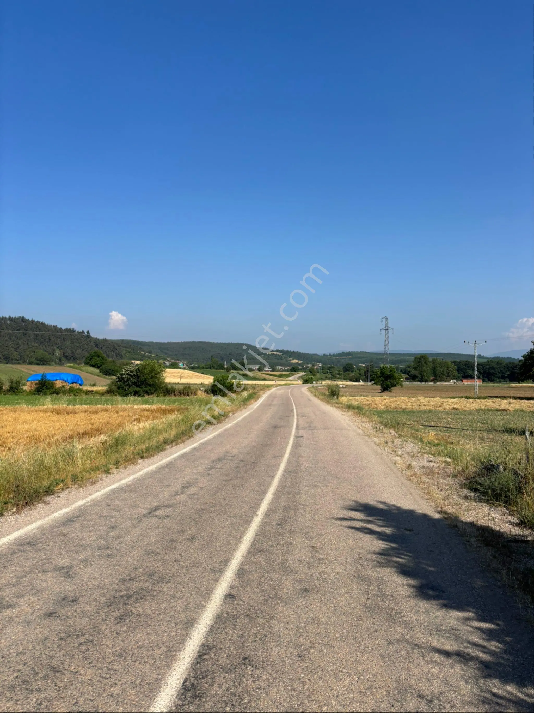 Balcity - Bursa Mustafakemalpaşa Hacıali Mahallesi 17 Dönüm Arazi — fotoğraf 5
