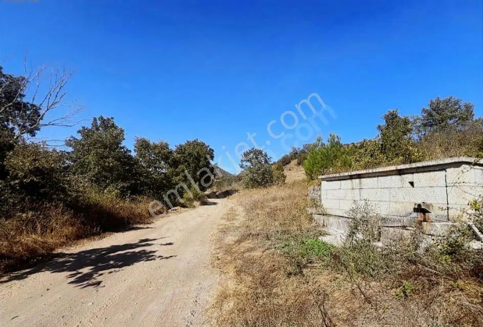 Balcity - İvrindi'de Çukurlar'da 7 Dönüm Resmi Yola Cepheli Tarla — fotoğraf 11