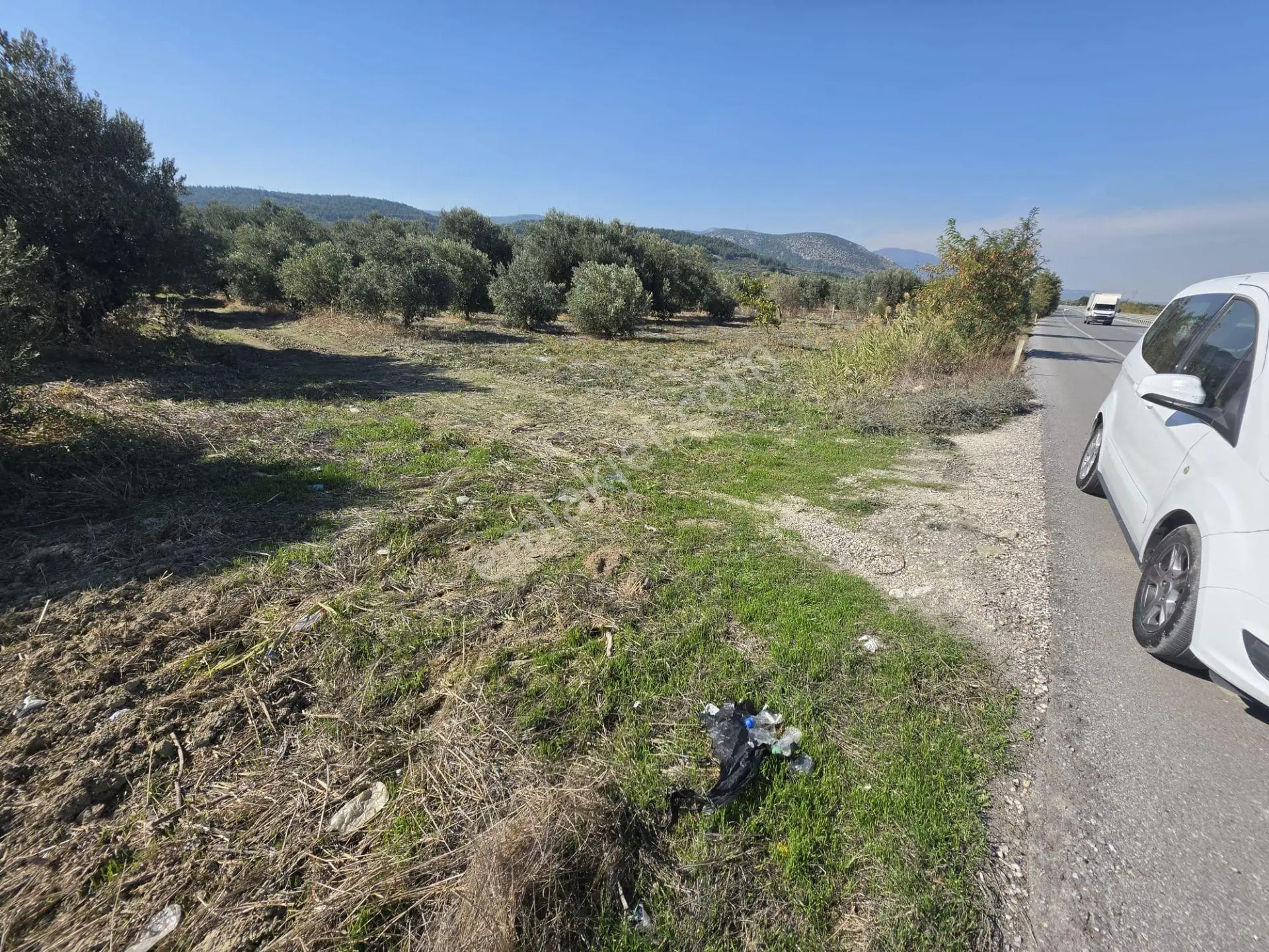 Akhisar–kırkağaç Ana Yoluna Sıfır, 60 Metre Yol Cepheli, Zeytinli Yatırım Fırsatı! — fotoğraf 2