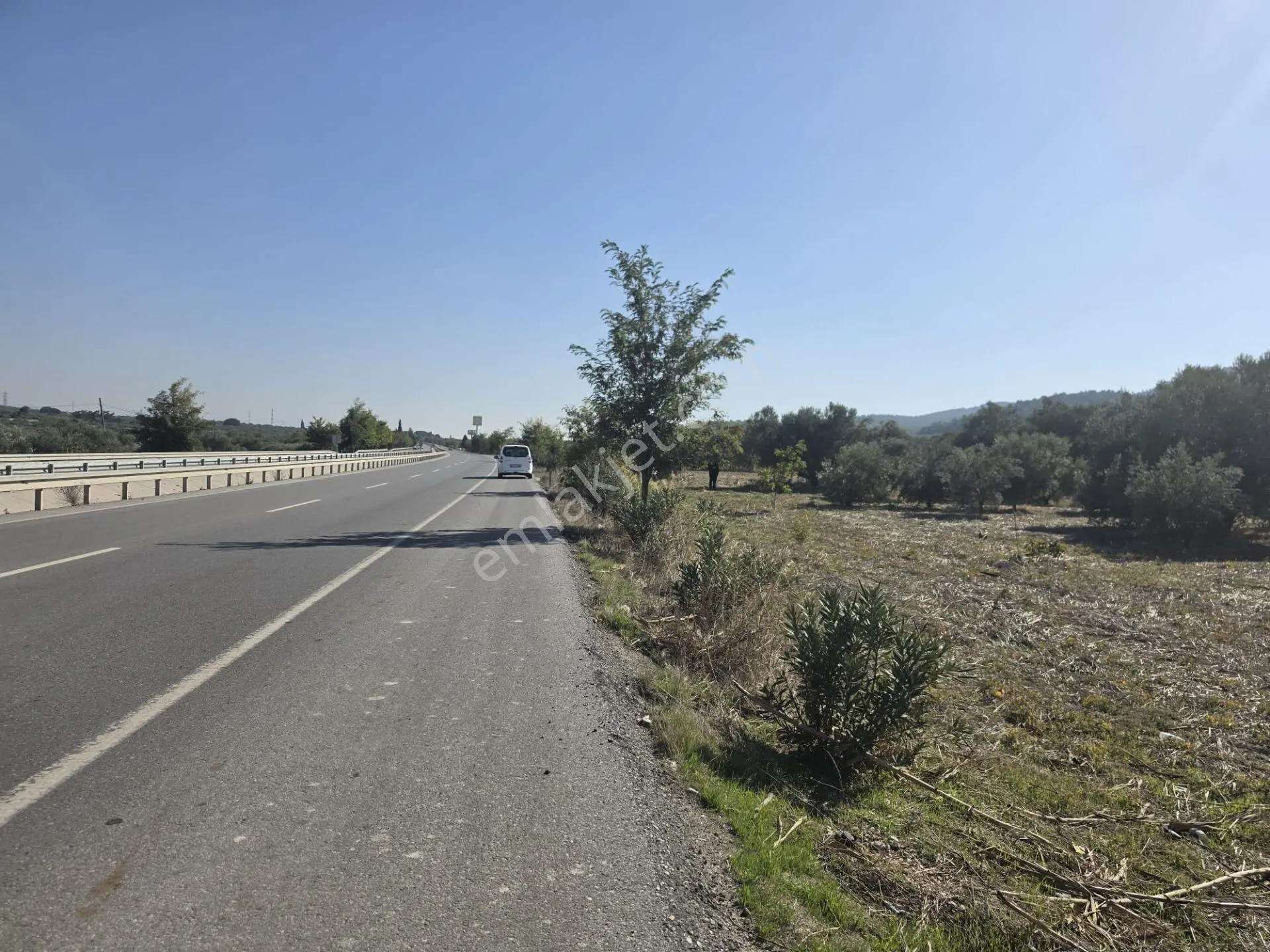 Akhisar–kırkağaç Ana Yoluna Sıfır, 60 Metre Yol Cepheli, Zeytinli Yatırım Fırsatı! — fotoğraf 3