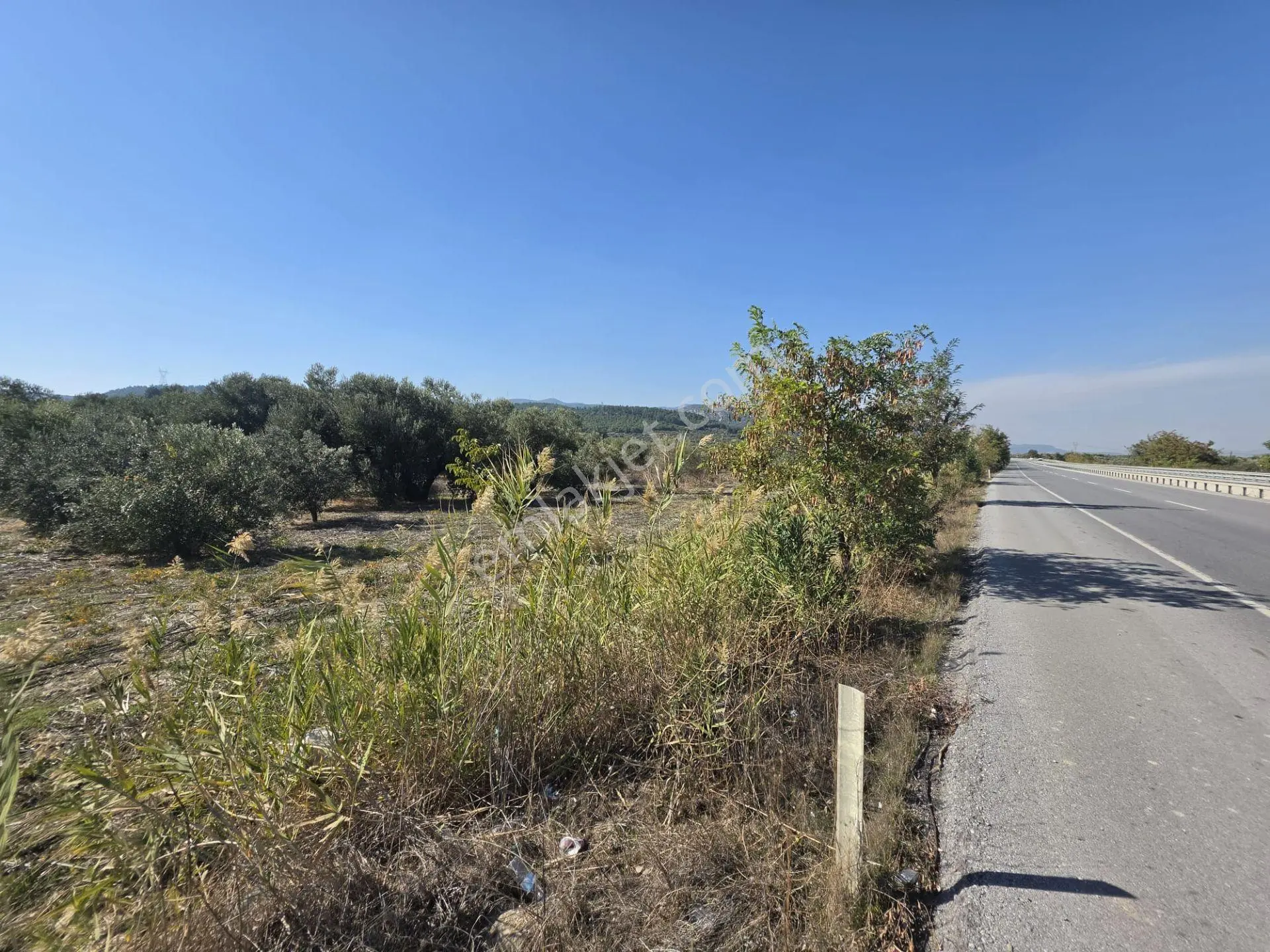 Akhisar–kırkağaç Ana Yoluna Sıfır, 60 Metre Yol Cepheli, Zeytinli Yatırım Fırsatı! — fotoğraf 7