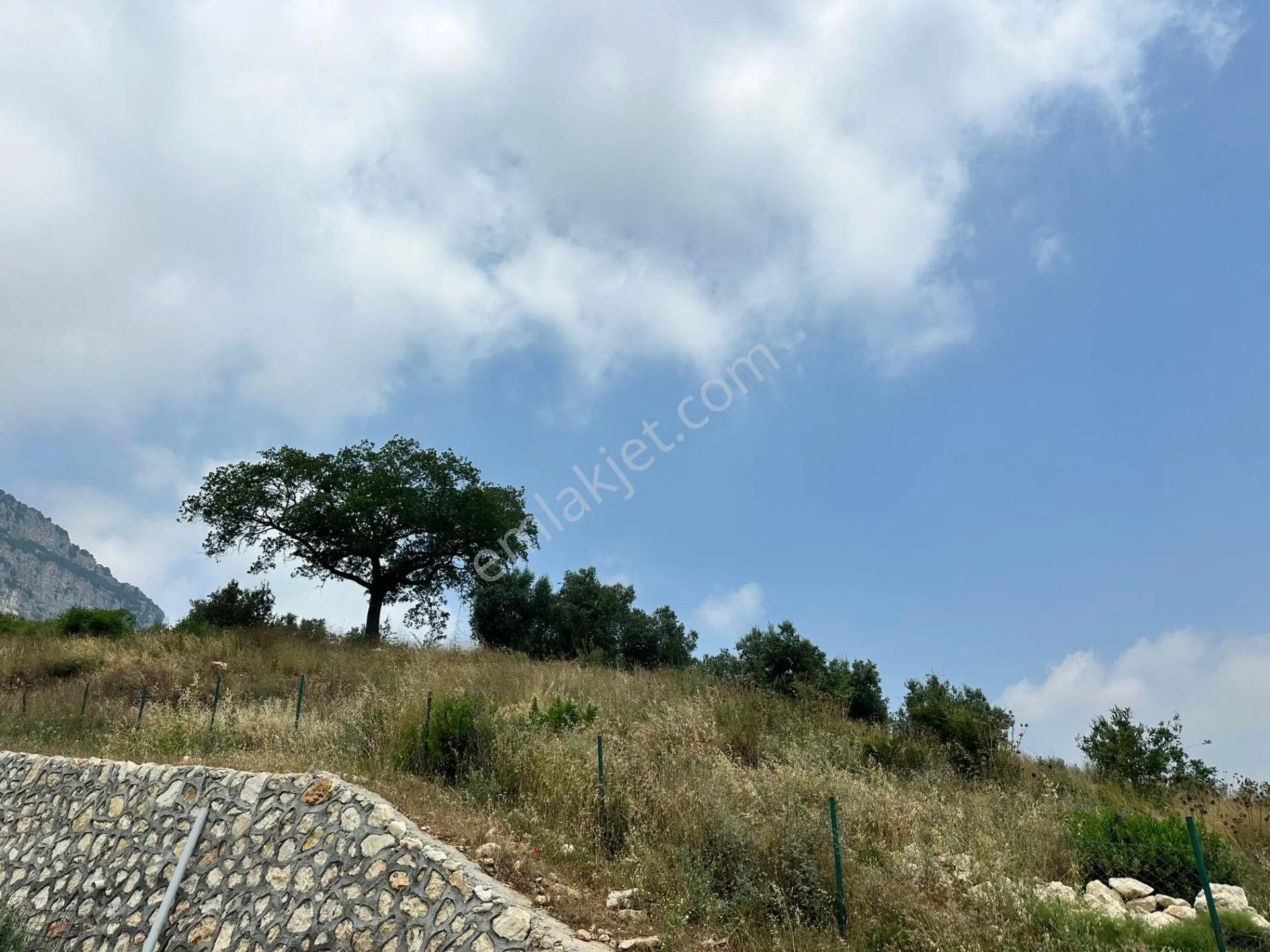 Aktif'ten Uzunkaş'ta Köy İmar Sınırında Hisseli Satılık Tarla — fotoğraf 4