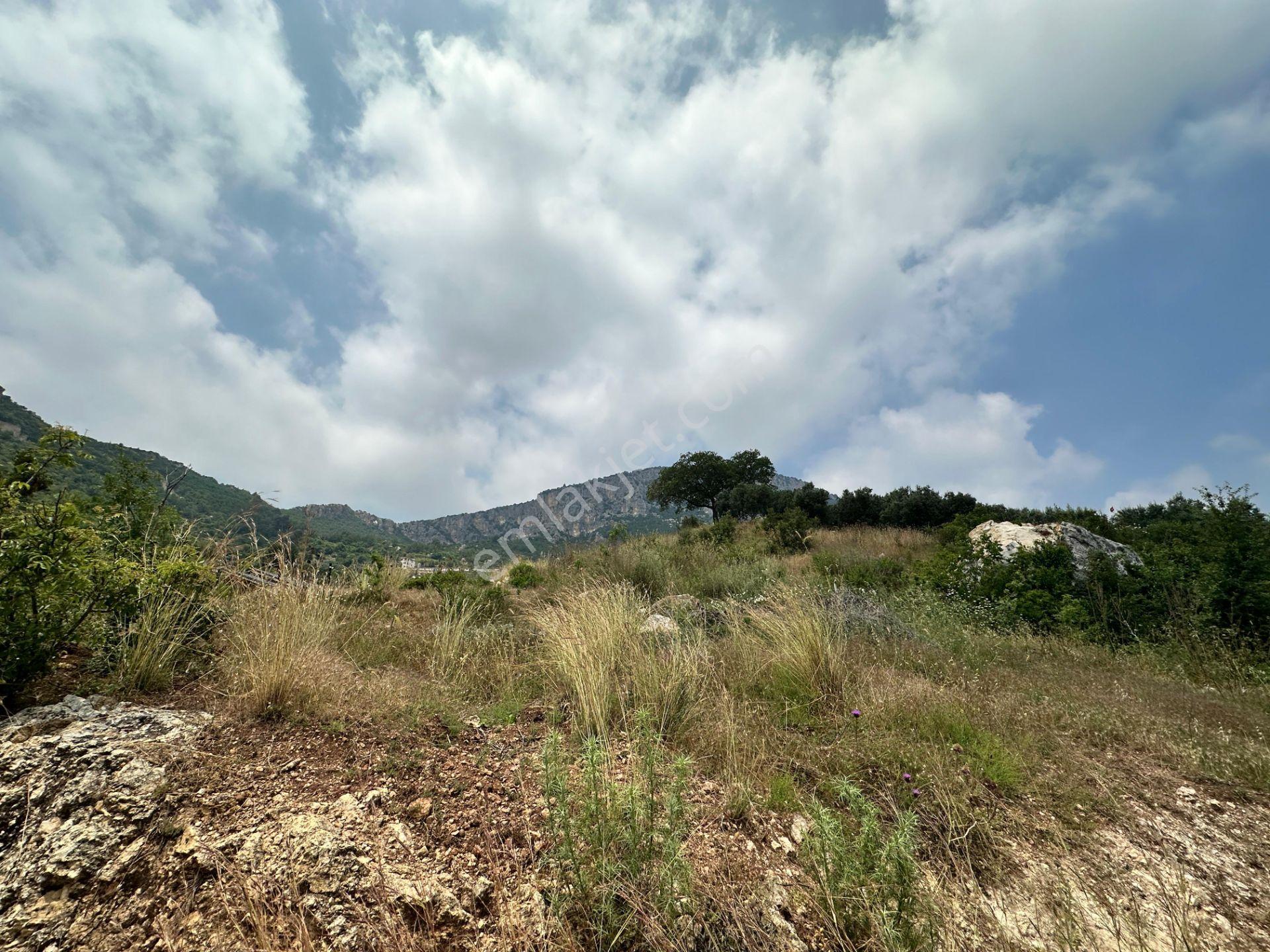 Aktif'ten Uzunkaş'ta Köy İmar Sınırında Hisseli Satılık Tarla — fotoğraf 6