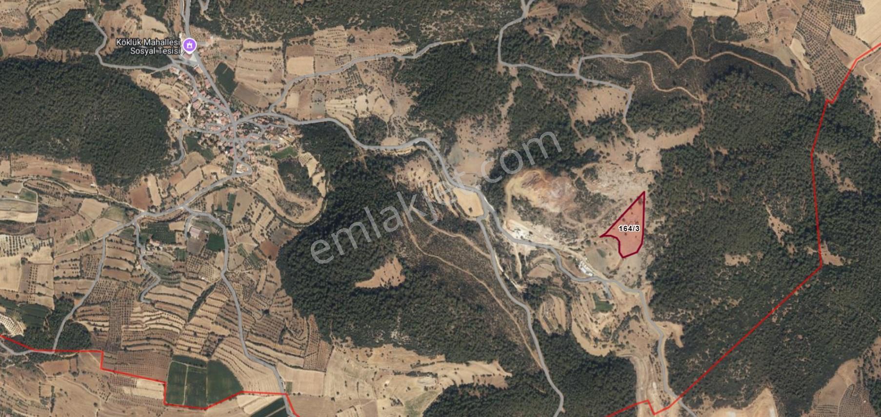 Dost’tan Yatağan Köklük’te Kendi Zeytinliğinizi Kurabileceğiniz 12.509 M² Tarla — fotoğraf 2