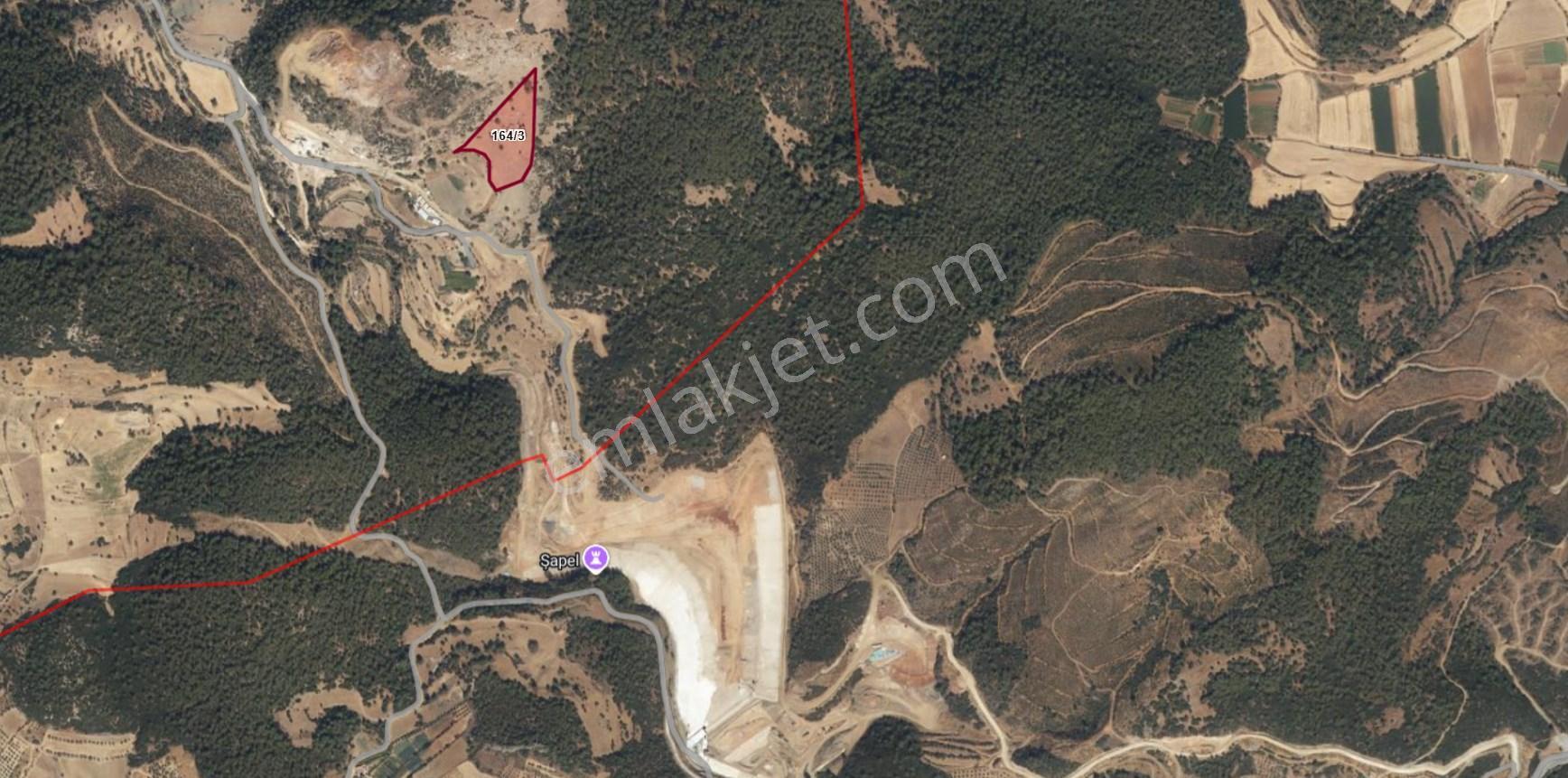 Dost’tan Yatağan Köklük’te Kendi Zeytinliğinizi Kurabileceğiniz 12.509 M² Tarla — fotoğraf 5