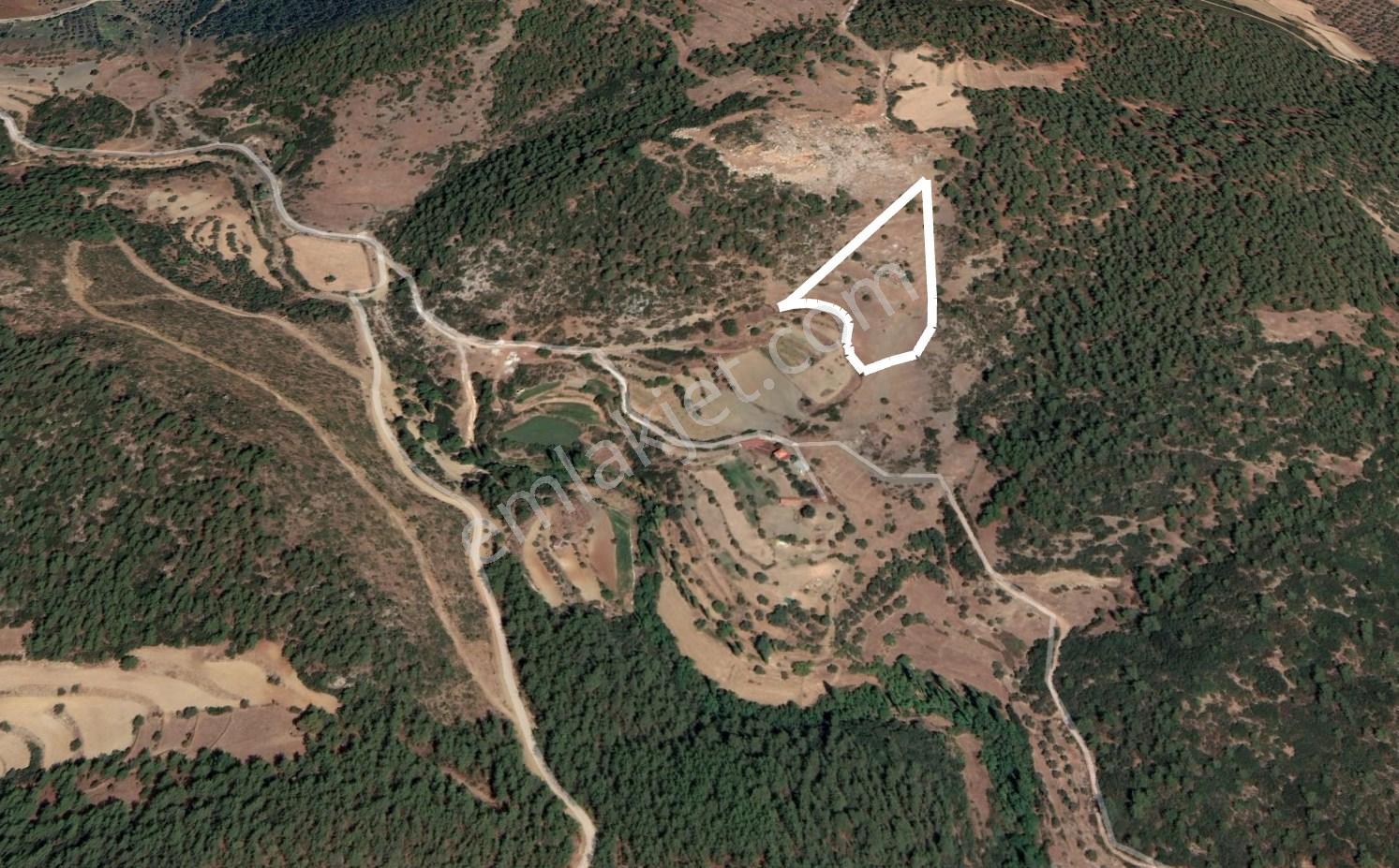 Dost’tan Yatağan Köklük’te Kendi Zeytinliğinizi Kurabileceğiniz 12.509 M² Tarla — fotoğraf 8