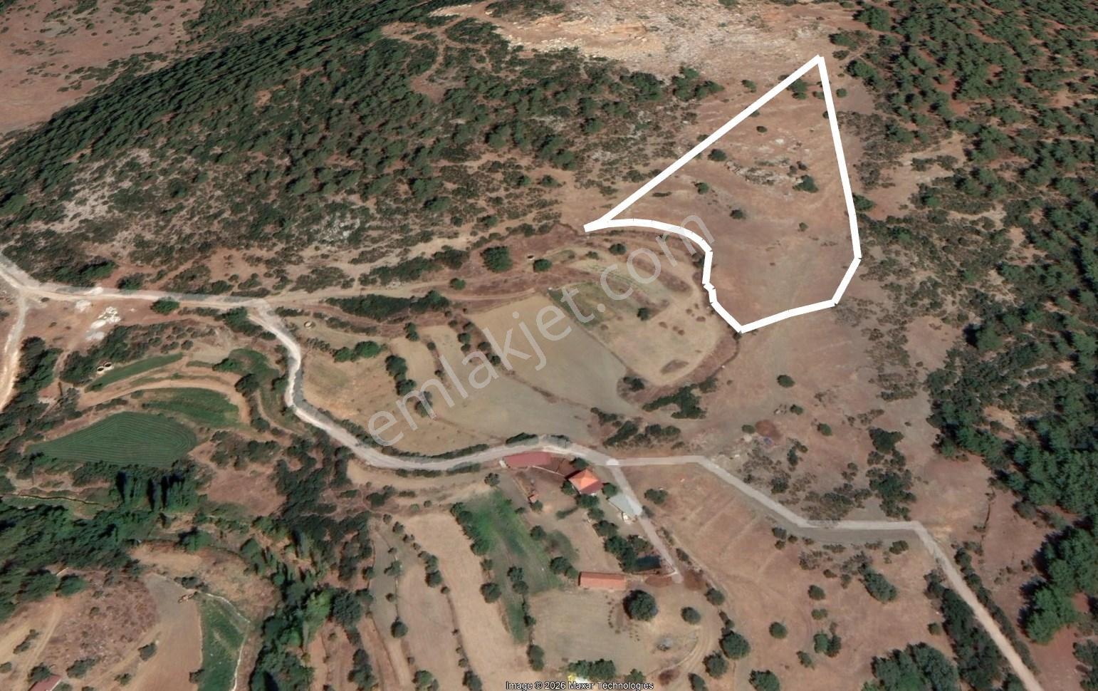 Dost’tan Yatağan Köklük’te Kendi Zeytinliğinizi Kurabileceğiniz 12.509 M² Tarla — fotoğraf 9