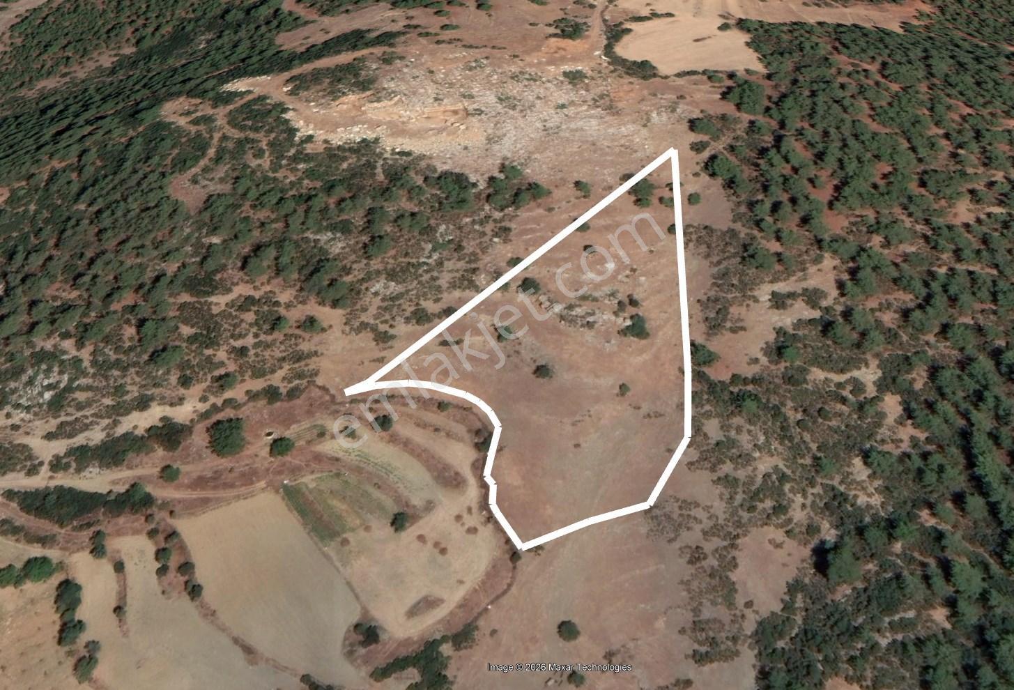 Dost’tan Yatağan Köklük’te Kendi Zeytinliğinizi Kurabileceğiniz 12.509 M² Tarla — fotoğraf 10