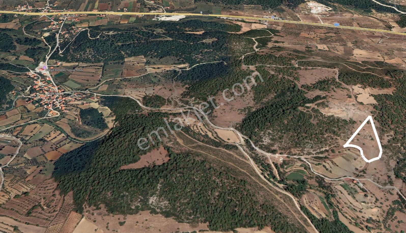 Dost’tan Yatağan Köklük’te Kendi Zeytinliğinizi Kurabileceğiniz 12.509 M² Tarla — fotoğraf 11