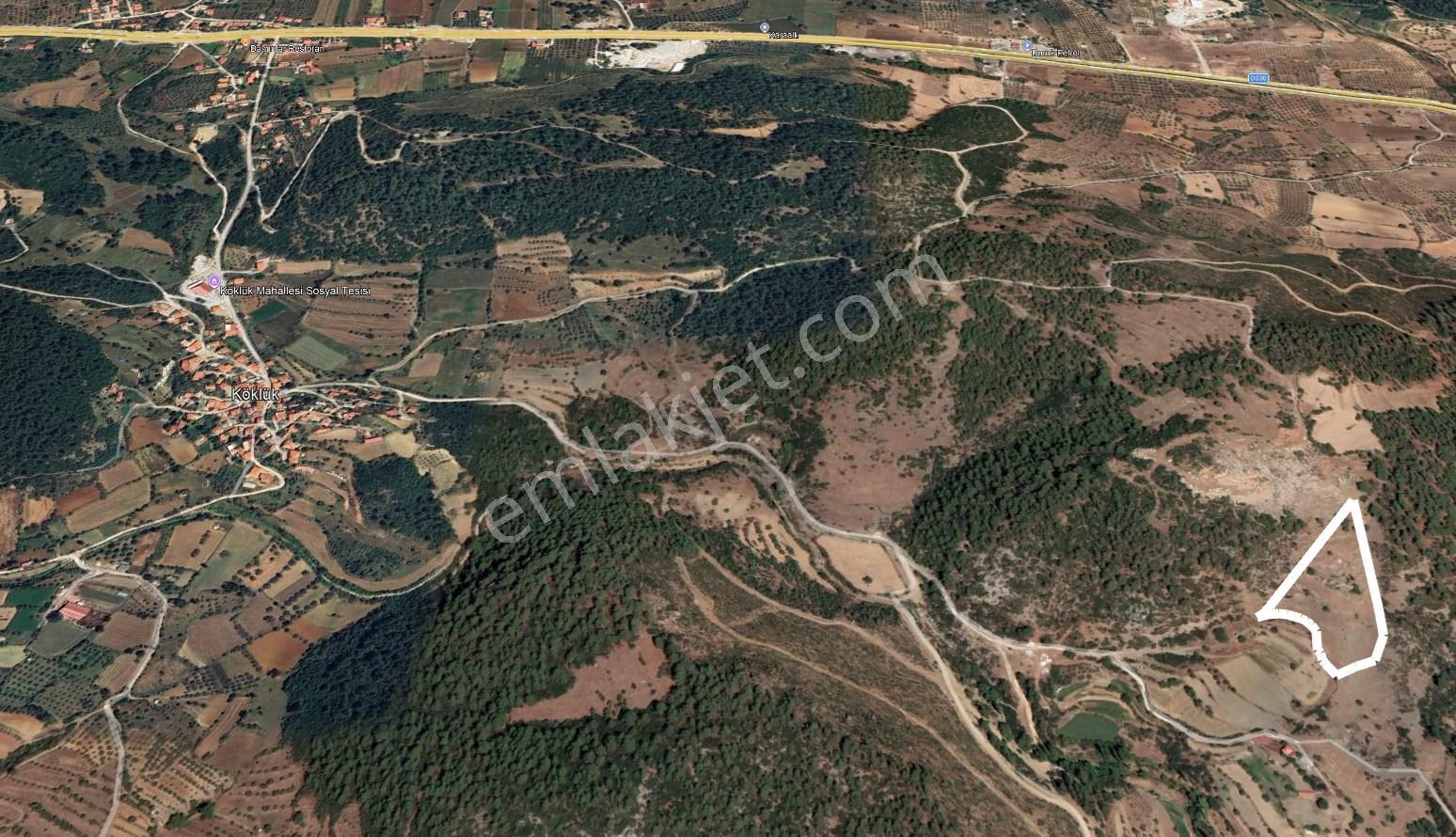 Dost’tan Yatağan Köklük’te Kendi Zeytinliğinizi Kurabileceğiniz 12.509 M² Tarla — fotoğraf 13