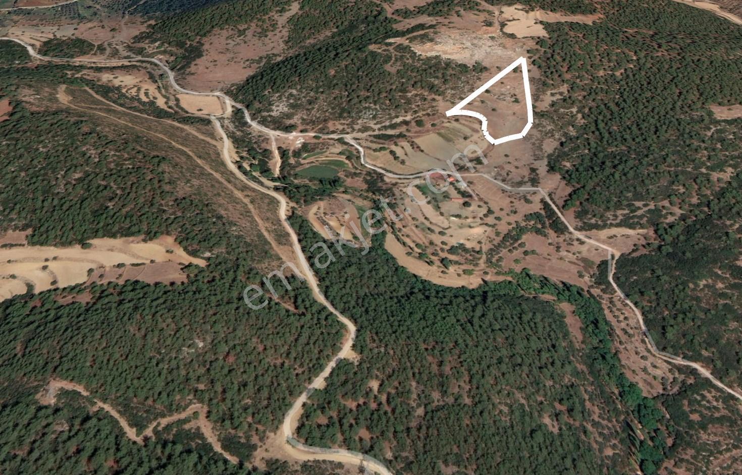 Dost’tan Yatağan Köklük’te Kendi Zeytinliğinizi Kurabileceğiniz 12.509 M² Tarla — fotoğraf 14