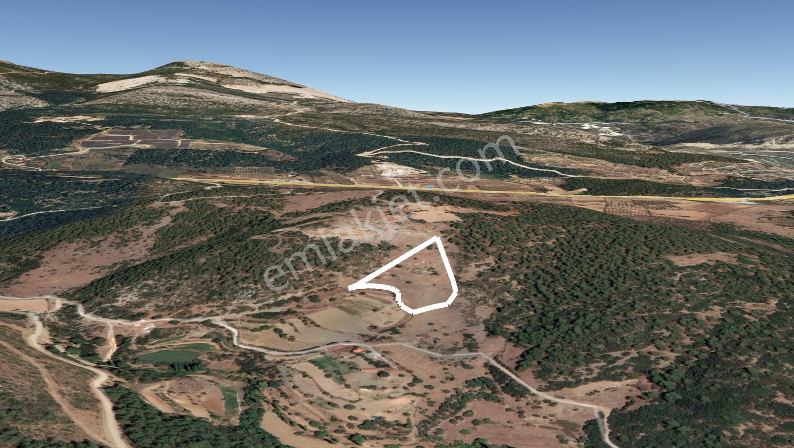 Dost’tan Yatağan Köklük’te Kendi Zeytinliğinizi Kurabileceğiniz 12.509 M² Tarla — fotoğraf 16