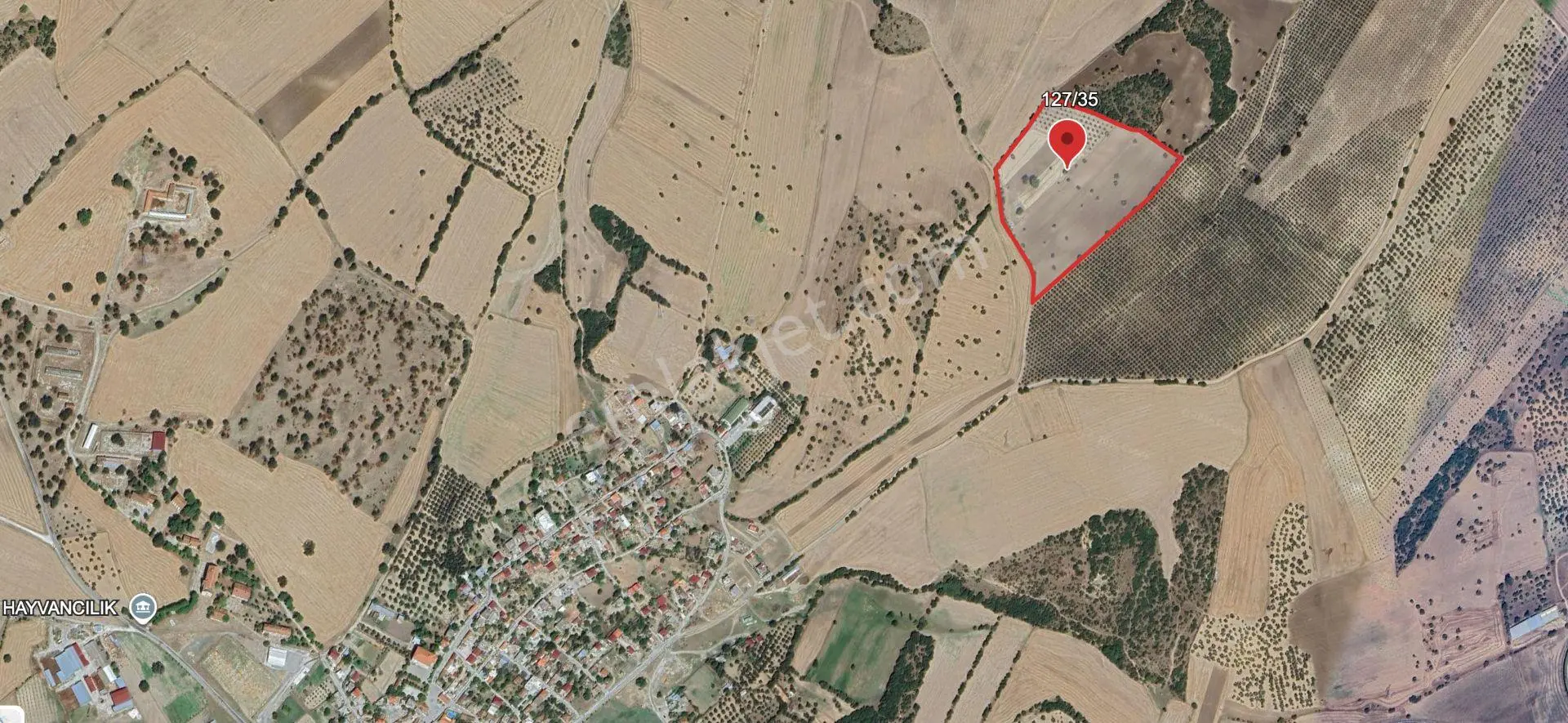 Çanakkale Ezine Üvecik Köyünde 41.547 M² Satılık Tarla — fotoğraf 3