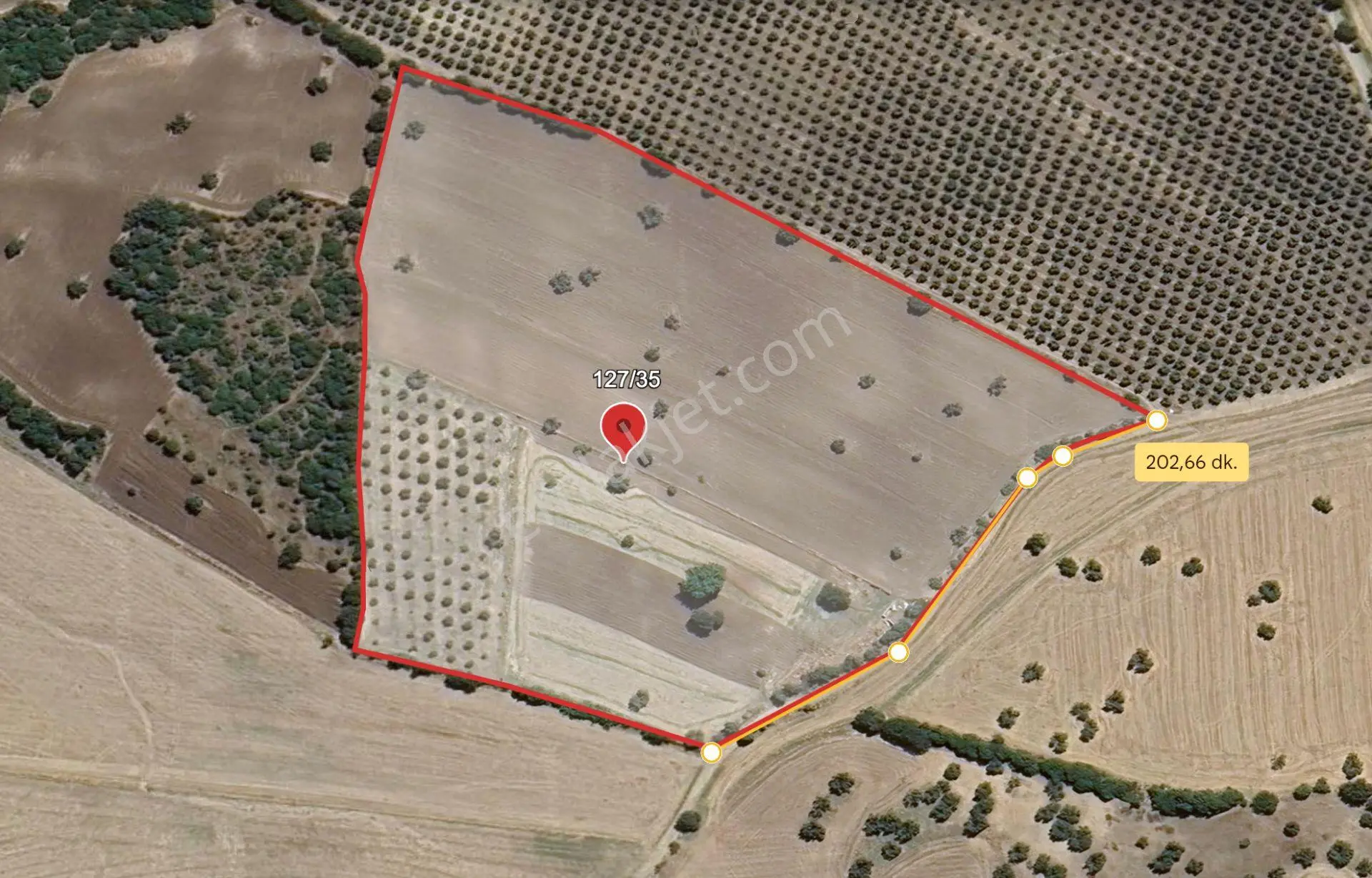 Çanakkale Ezine Üvecik Köyünde 41.547 M² Satılık Tarla — fotoğraf 6