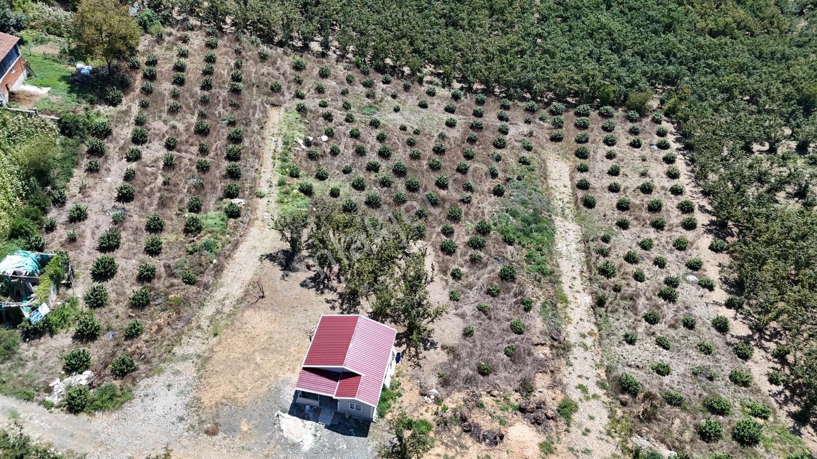 Balcıoğlundan Gümüşolukta 500m2 İmarlı Projeli Uygun Fiyat Arsa — fotoğraf 2