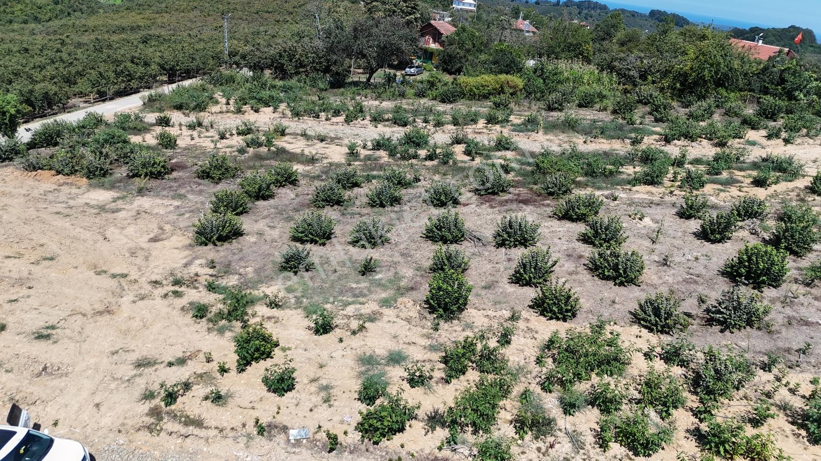 Balcıoğlundan Gümüşolukta 500m2 İmarlı Projeli Uygun Fiyat Arsa — fotoğraf 3