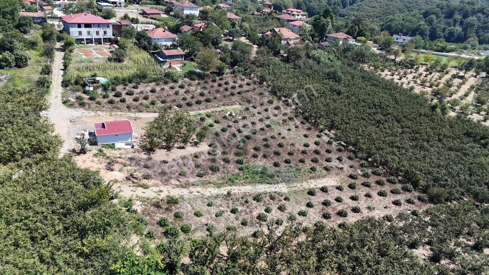 Balcıoğlundan Gümüşolukta 500m2 İmarlı Projeli Uygun Fiyat Arsa — fotoğraf 4