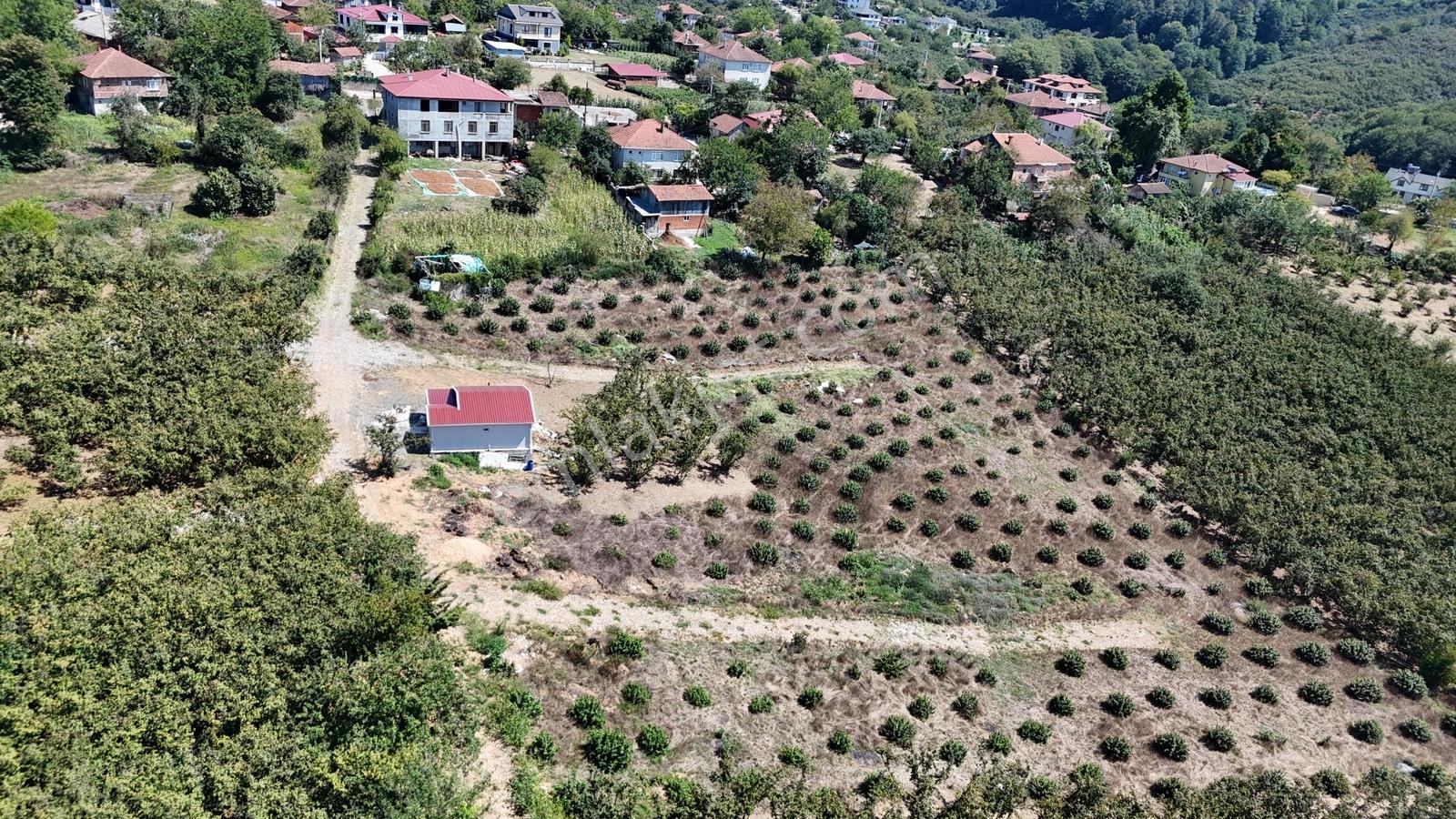 Balcıoğlundan Gümüşolukta 500m2 İmarlı Projeli Uygun Fiyat Arsa — fotoğraf 5