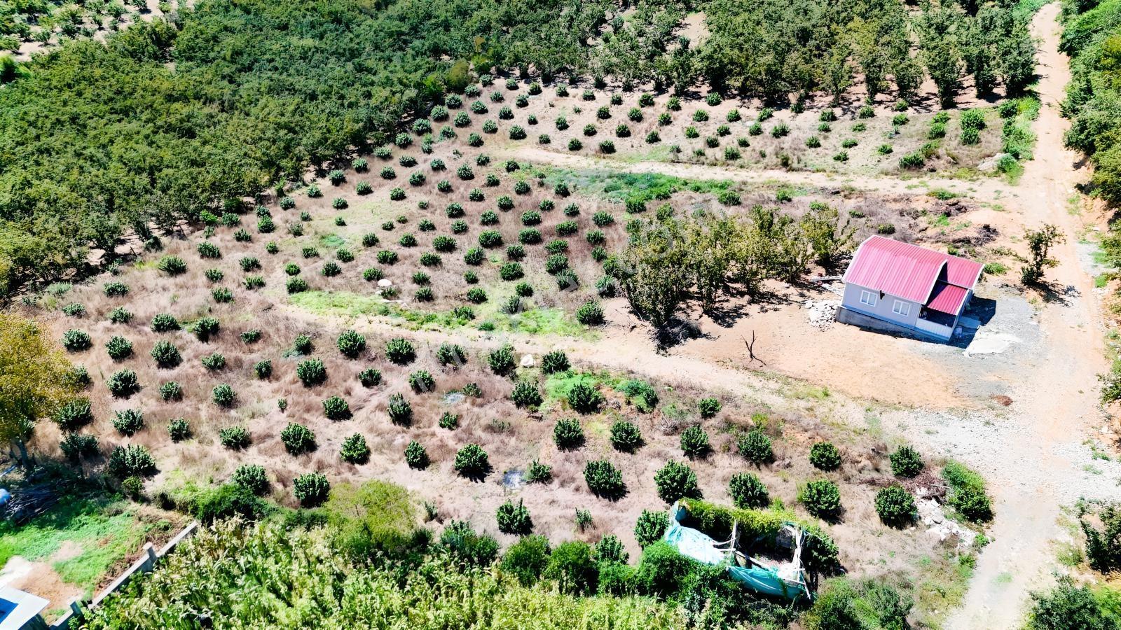 Balcıoğlundan Gümüşolukta 500m2 İmarlı Projeli Uygun Fiyat Arsa — fotoğraf 7