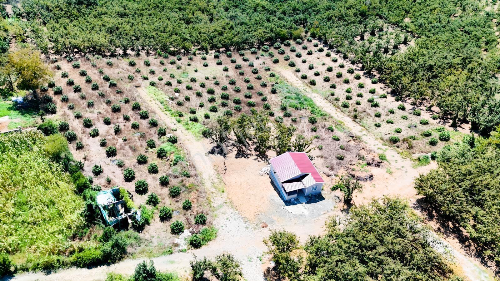 Balcıoğlundan Gümüşolukta 500m2 İmarlı Projeli Uygun Fiyat Arsa — fotoğraf 8