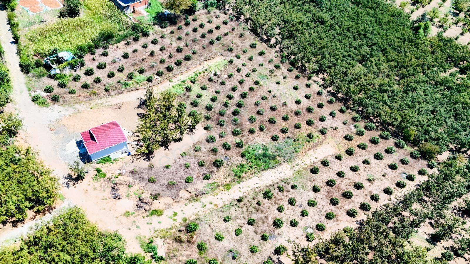 Balcıoğlundan Gümüşolukta 500m2 İmarlı Projeli Uygun Fiyat Arsa — fotoğraf 9