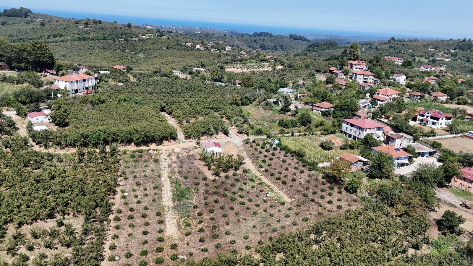 Balcıoğlundan Gümüşolukta 500m2 İmarlı Projeli Uygun Fiyat Arsa — fotoğraf 11