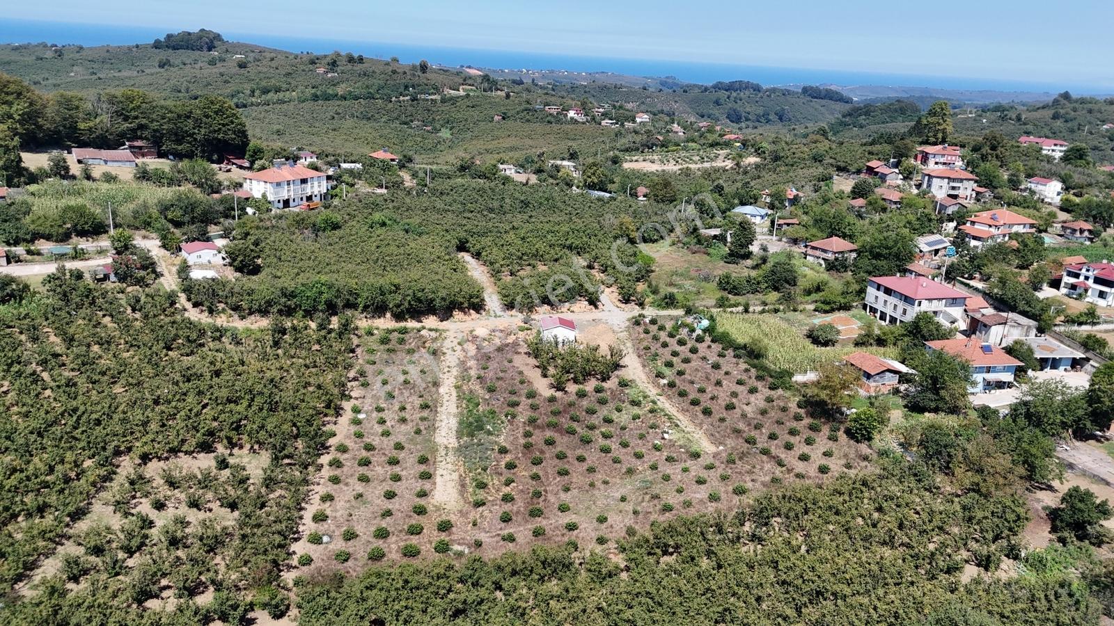 Balcıoğlundan Gümüşolukta 500m2 İmarlı Projeli Uygun Fiyat Arsa — fotoğraf 12