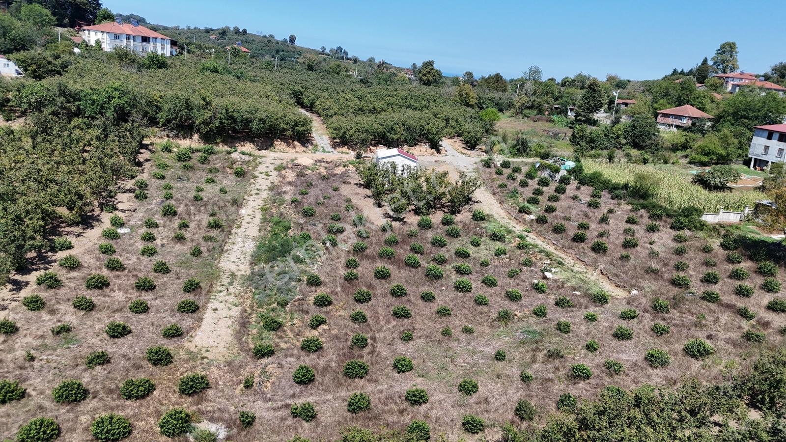 Balcıoğlundan Gümüşolukta 500m2 İmarlı Projeli Uygun Fiyat Arsa — fotoğraf 13