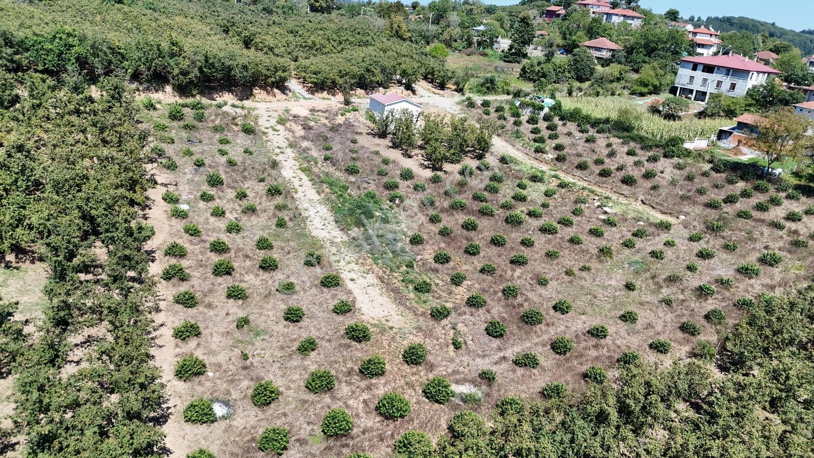 Balcıoğlundan Gümüşolukta 500m2 İmarlı Projeli Uygun Fiyat Arsa — fotoğraf 14