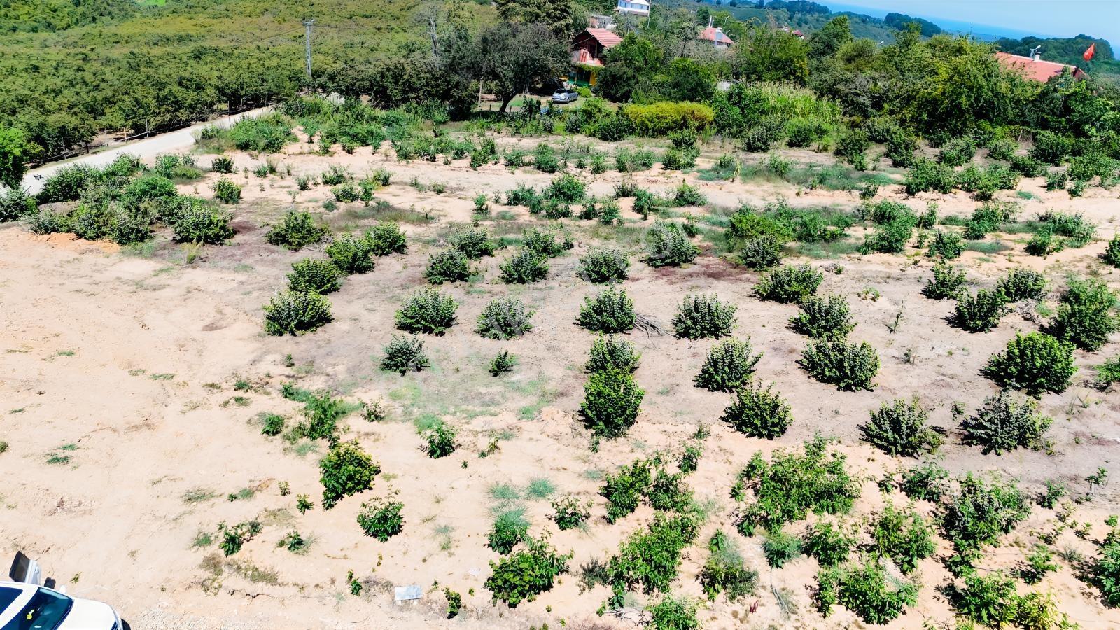 Balcıoğlundan Gümüşolukta 500m2 İmarlı Projeli Uygun Fiyat Arsa — fotoğraf 17