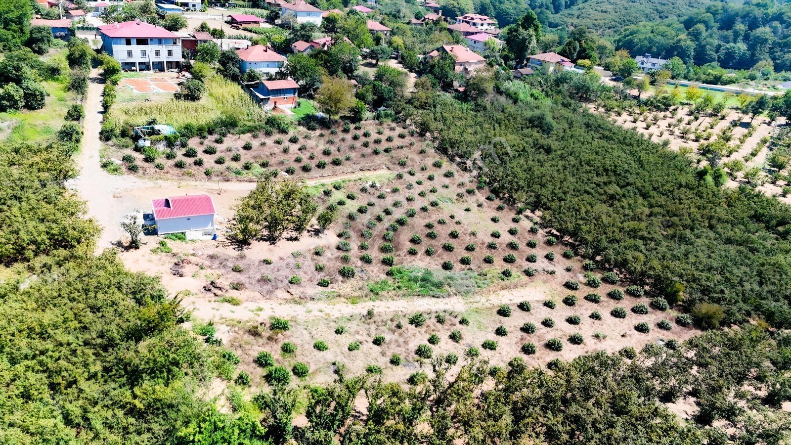 Balcıoğlundan Gümüşolukta 500m2 İmarlı Projeli Uygun Fiyat Arsa — fotoğraf 18