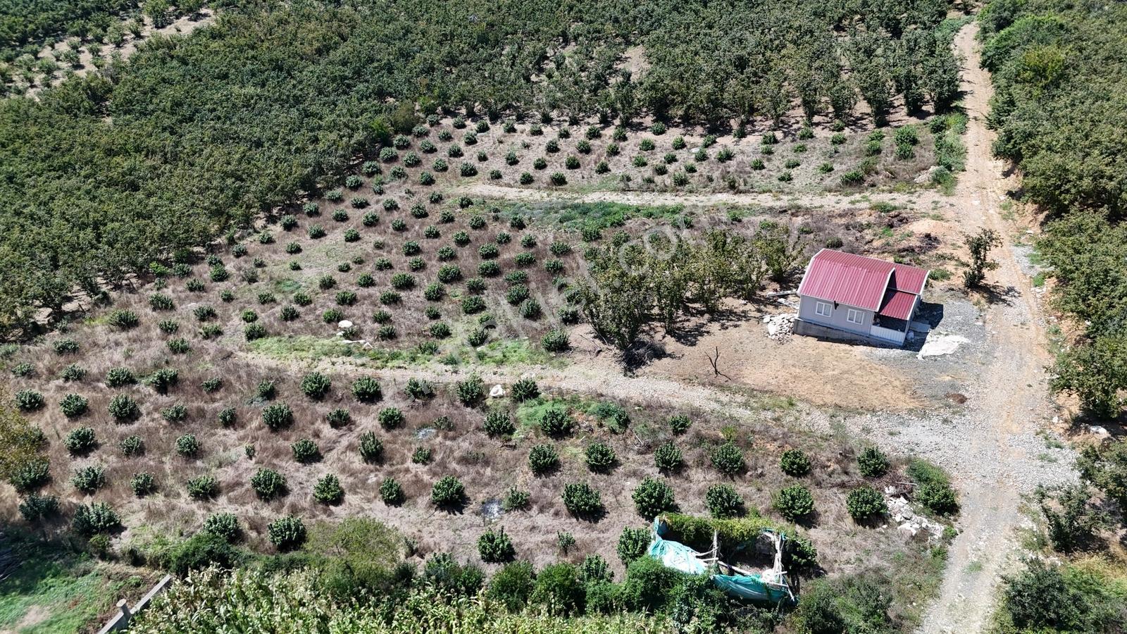Balcıoğlundan Gümüşolukta 500m2 İmarlı Projeli Uygun Fiyat Arsa — fotoğraf 20