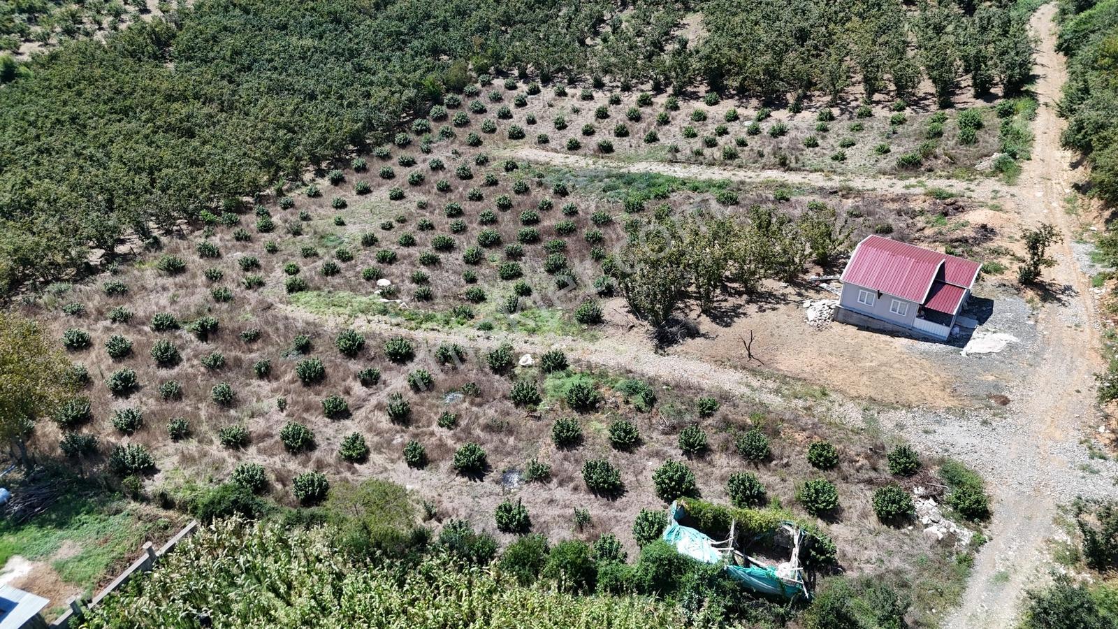 Balcıoğlundan Gümüşolukta 500m2 İmarlı Projeli Uygun Fiyat Arsa — fotoğraf 21