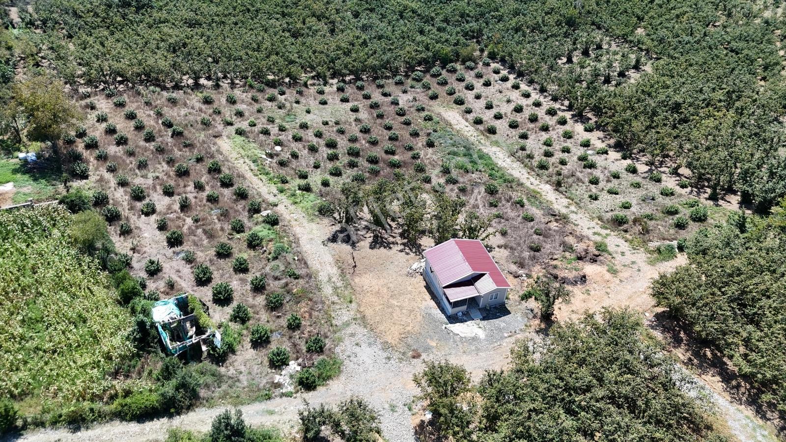 Balcıoğlundan Gümüşolukta 500m2 İmarlı Projeli Uygun Fiyat Arsa — fotoğraf 22