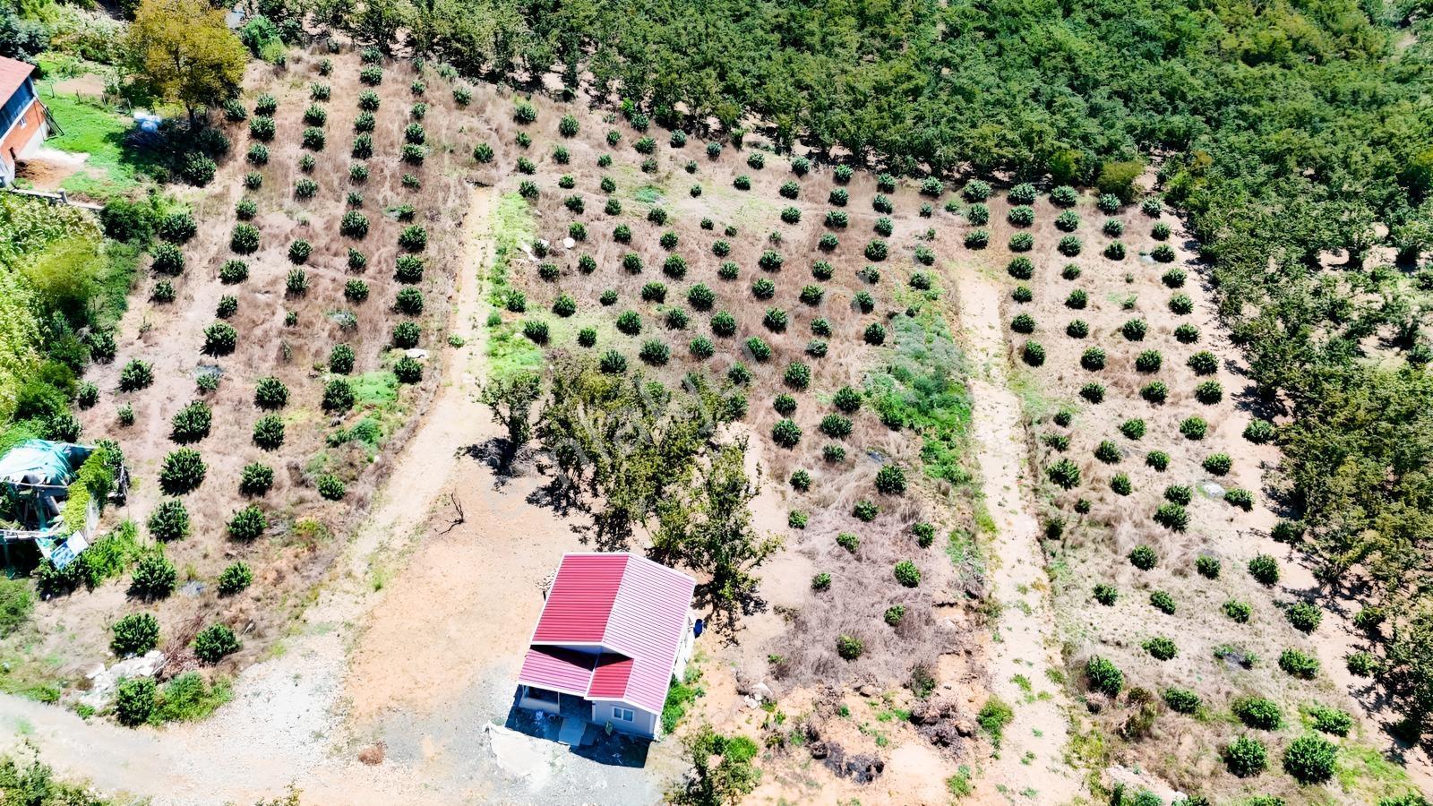 Balcıoğlundan Gümüşolukta 500m2 İmarlı Projeli Uygun Fiyat Arsa — fotoğraf 23