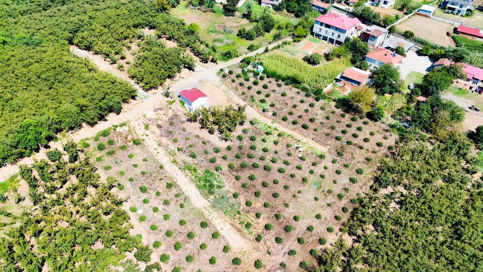 Balcıoğlundan Gümüşolukta 500m2 İmarlı Projeli Uygun Fiyat Arsa — fotoğraf 25