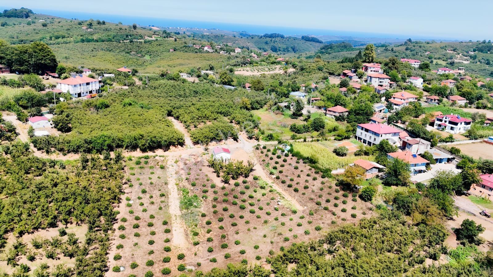 Balcıoğlundan Gümüşolukta 500m2 İmarlı Projeli Uygun Fiyat Arsa — fotoğraf 26