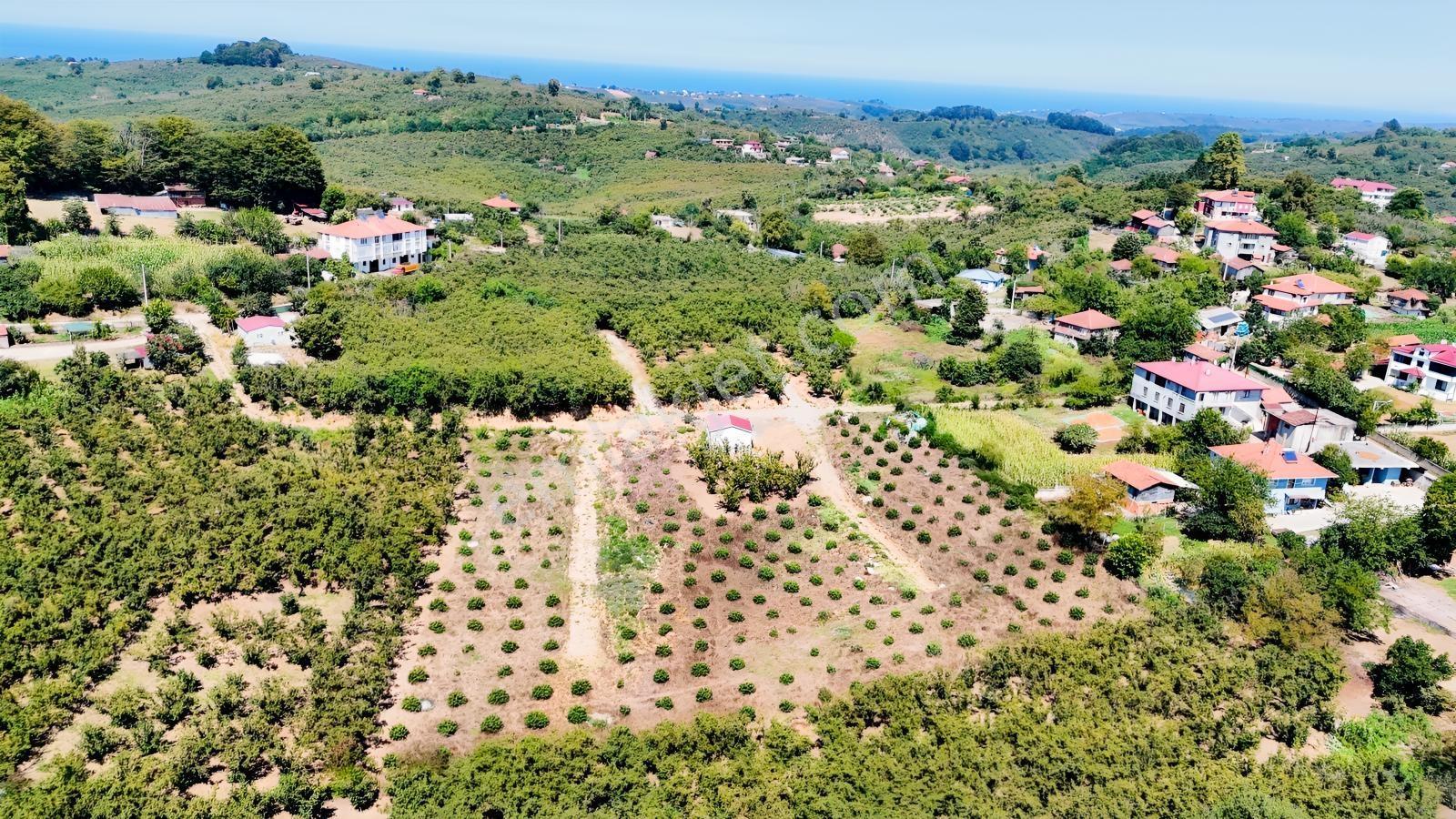 Balcıoğlundan Gümüşolukta 500m2 İmarlı Projeli Uygun Fiyat Arsa — fotoğraf 27