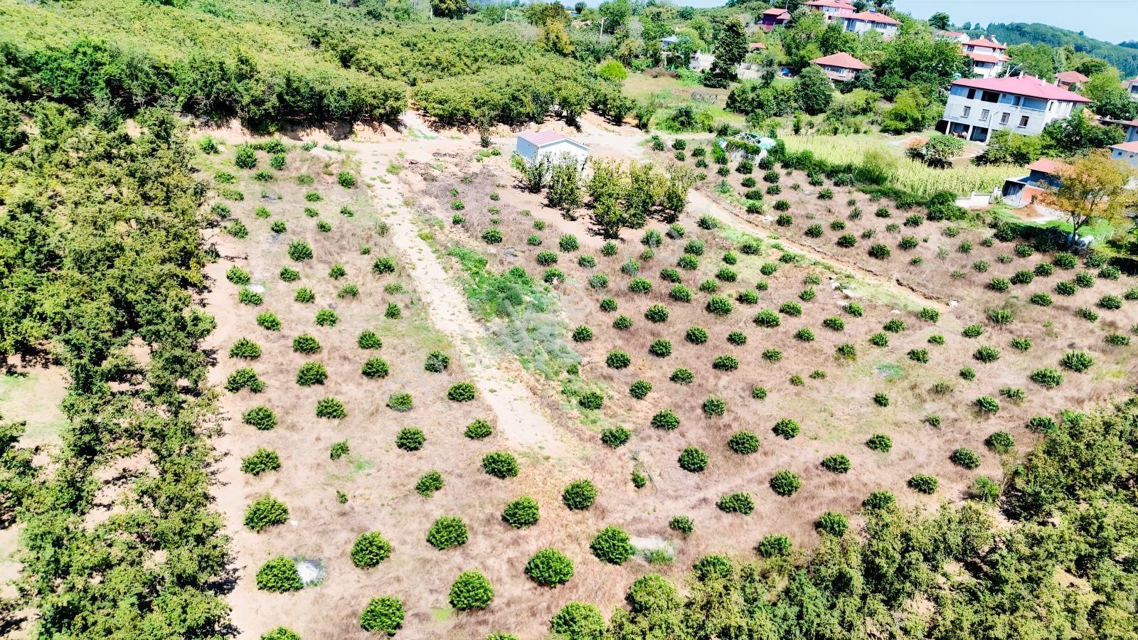 Balcıoğlundan Gümüşolukta 500m2 İmarlı Projeli Uygun Fiyat Arsa — fotoğraf 29