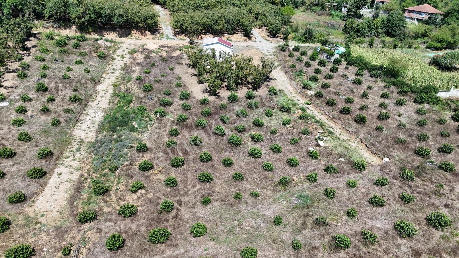 Balcıoğlundan Gümüşolukta 500m2 İmarlı Projeli Uygun Fiyat Arsa — fotoğraf 30
