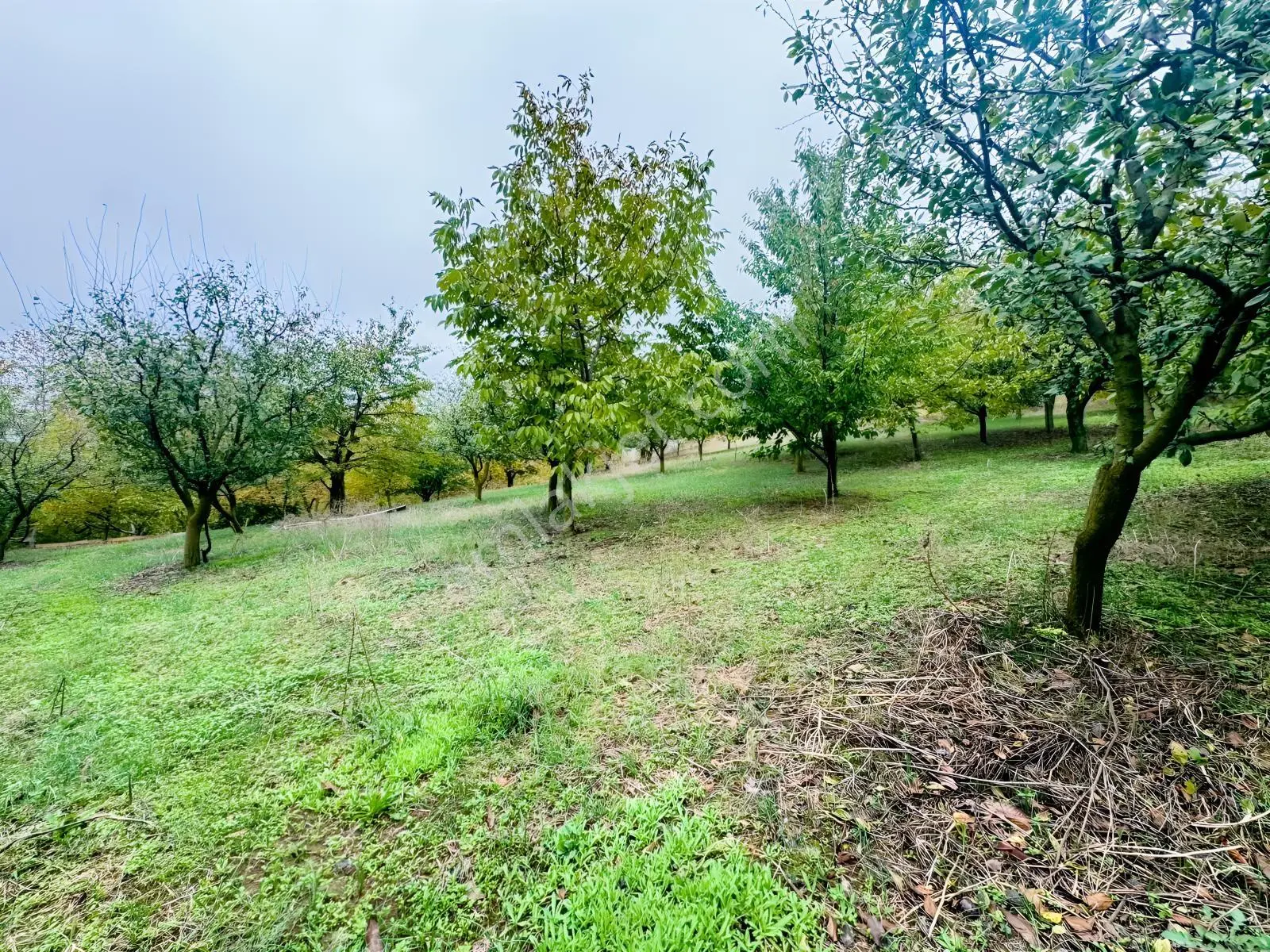 Sapanca Gölü Ayaklarınızın Altında ! Satılık 6.670 M2 Bahçe !!! — fotoğraf 6