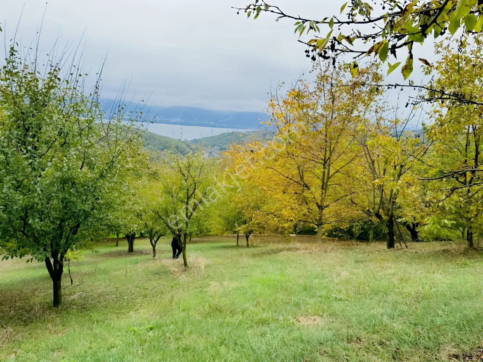 Sapanca Gölü Ayaklarınızın Altında ! Satılık 6.670 M2 Bahçe !!! — fotoğraf 13